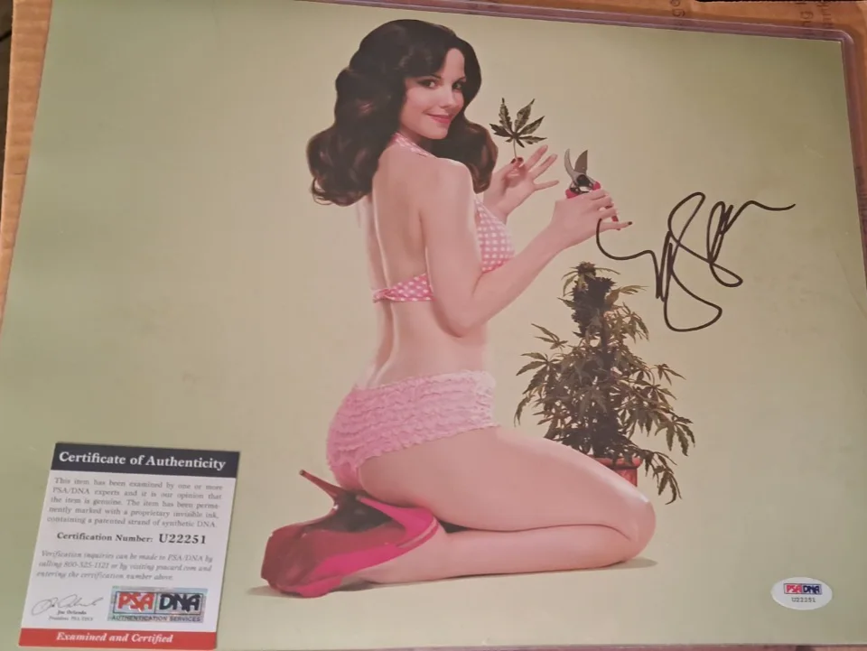 MARY LOUISE PARKER — PSA/DNA CERTIFIED & NUMBERED MARY LOUISE PARKER 11X14 HAND-SIGNED PHOTOGRAPH, изображение 4