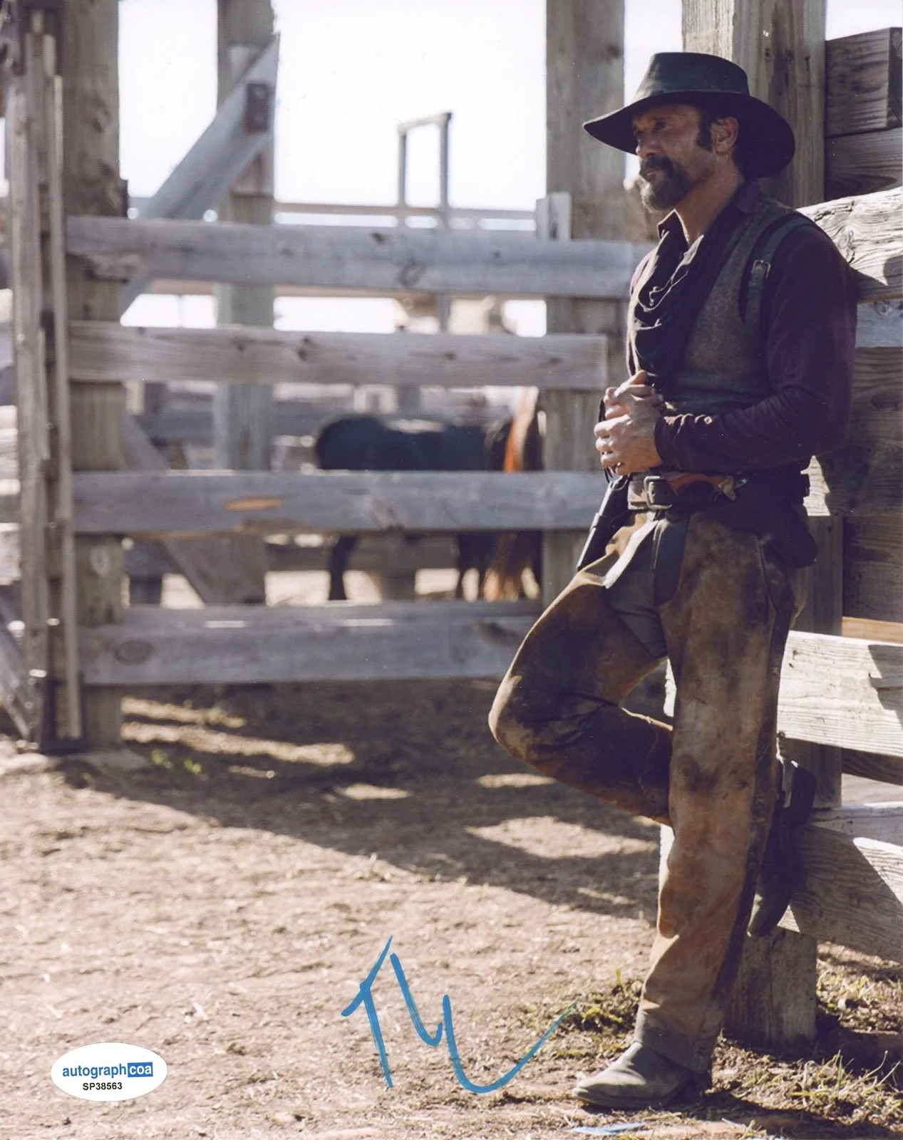 Tim McGraw — Tim McGraw "1883" Autograph SIGNED 'James Dutton' Autographed 8x10 Photo ACOA, image 2
