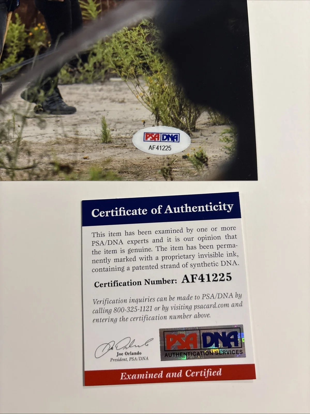 Andrew Lincoln — Andrew Lincoln Autographed Signed 8X10 Photo-The Walking Dead-PSA, изображение 4