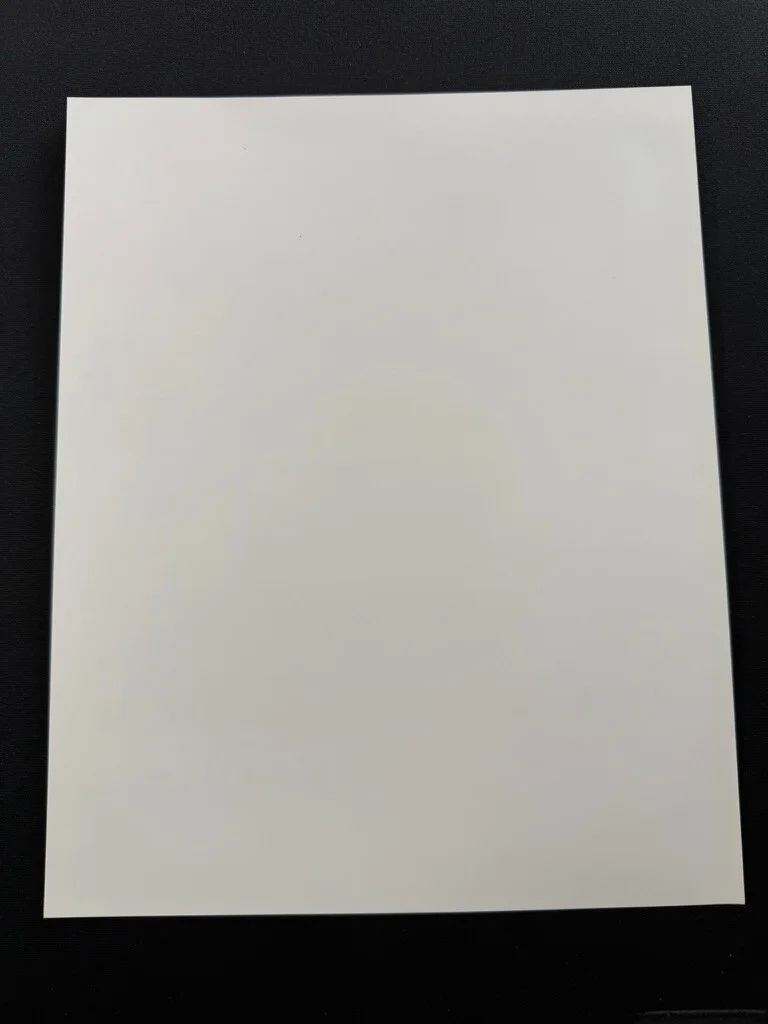 RARE A4 1991 The Naked Gun 2½: The Smell of Fear B/W Press Scene Print, изображение 2