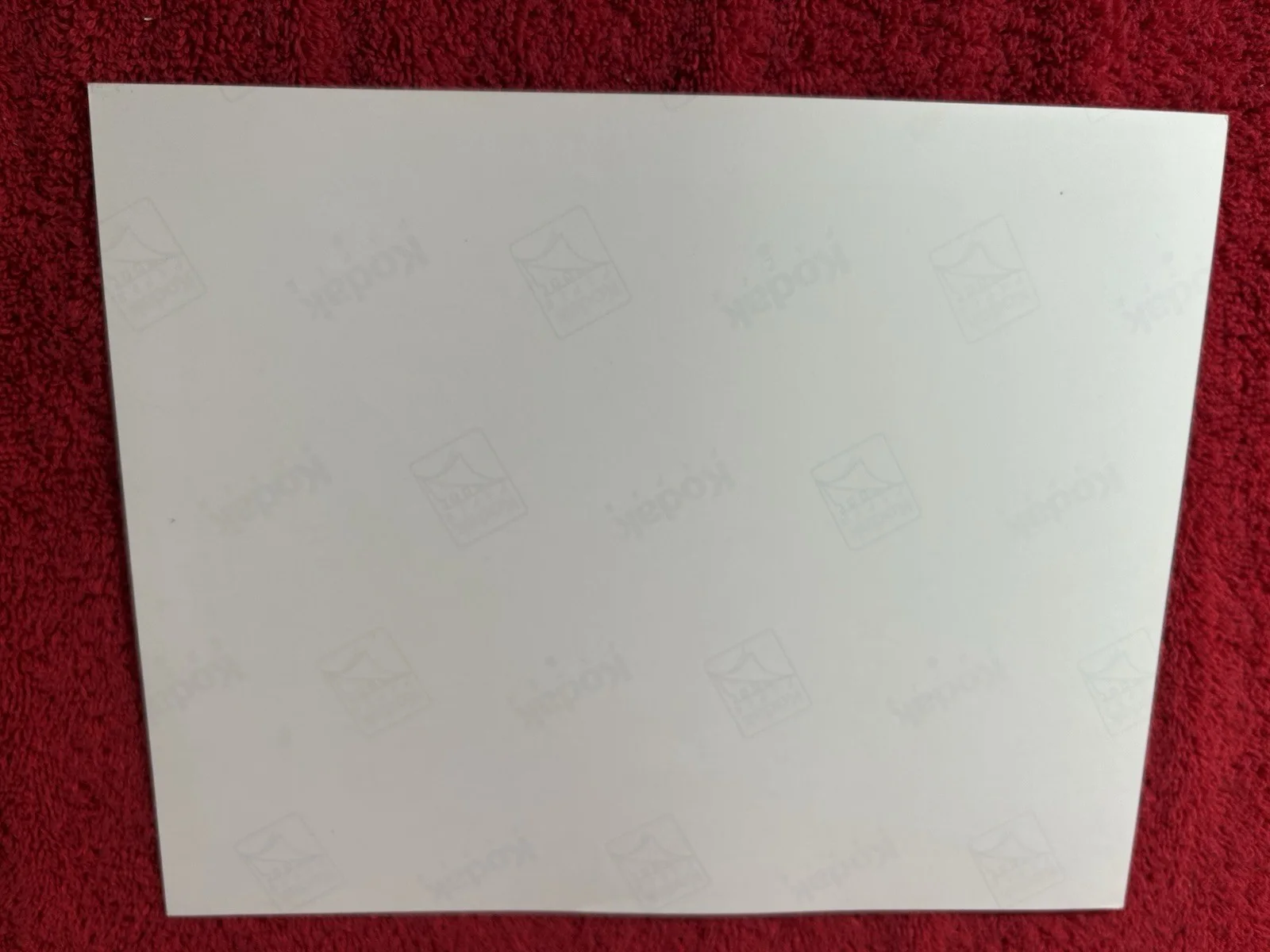 James Franco — James Franco Signed Autographed Color 8x10 Photo SPIDERMAN 2, изображение 2