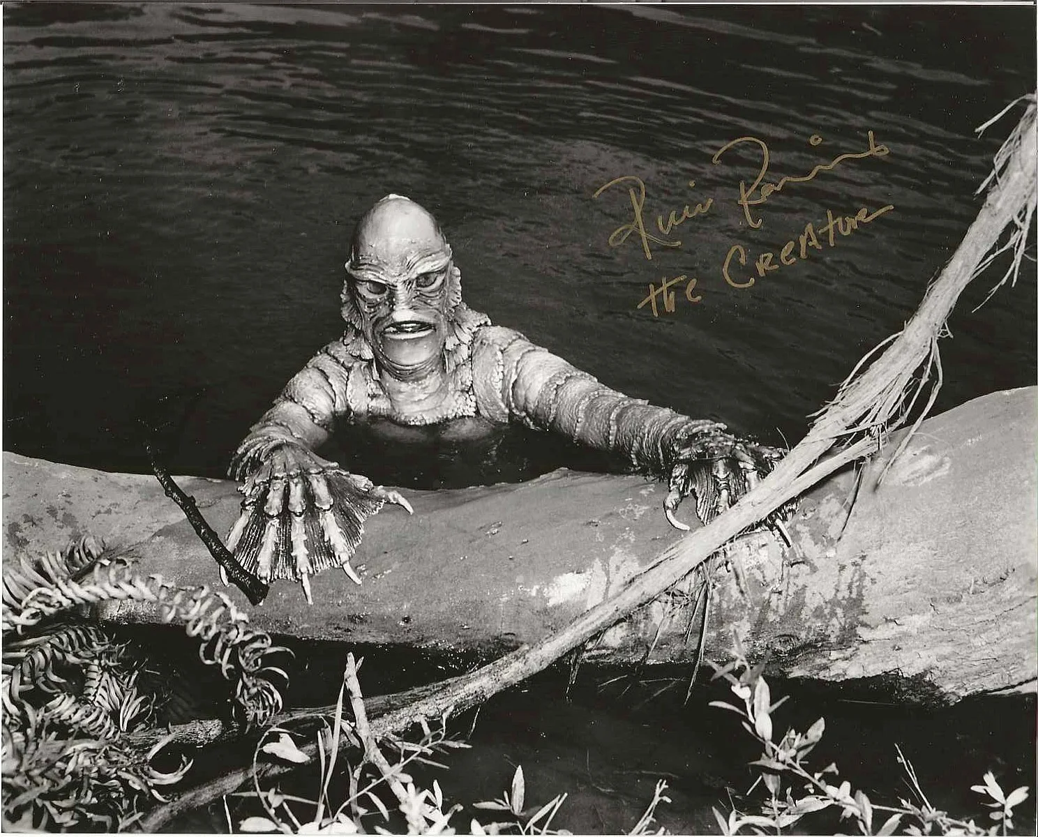 Ricou Browning — RICOU BROWNING - 8 x 10 - CREATURE FROM THE BLACK LAGOON - in Person