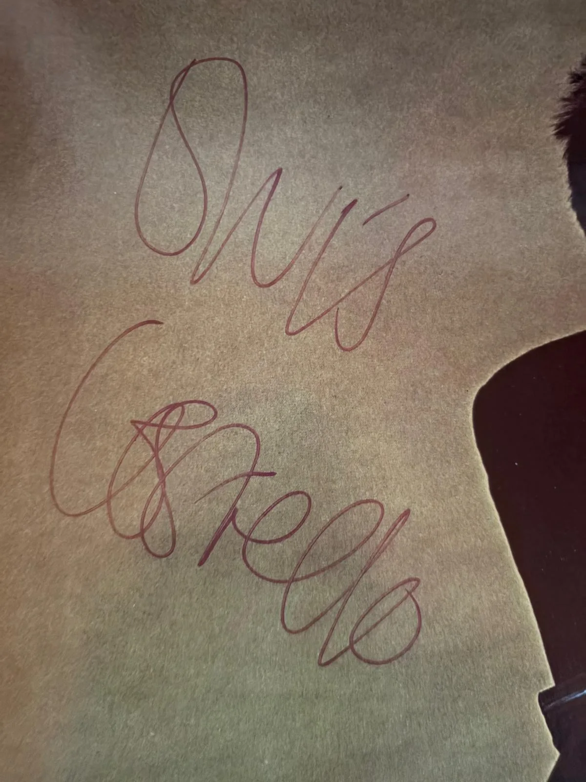 Elvis Costello — ELVIS COSTELLO SIGNED AUTOGRAPHED 11X14 ALBUM FLAT PAGE FULL NAME VINTAGE PSA, изображение 2