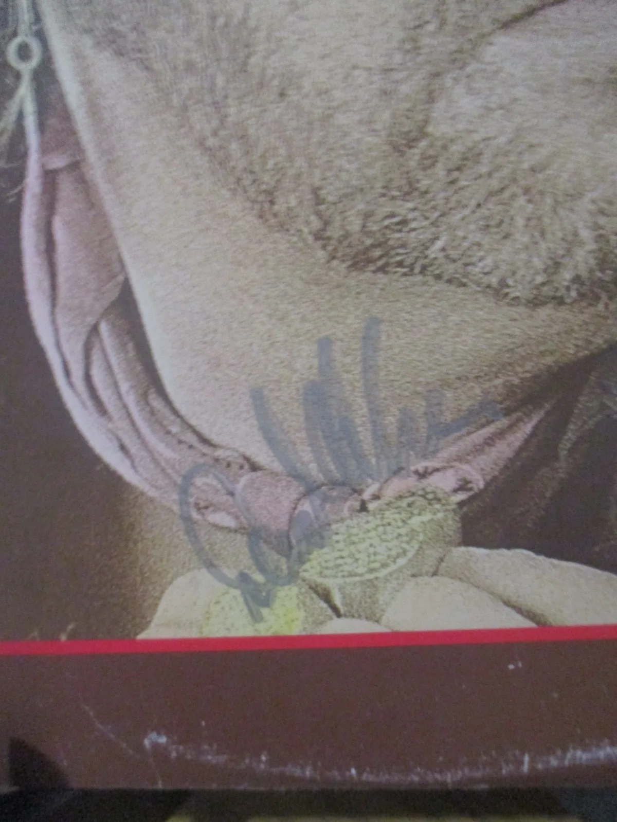 DAVID ALLAN COE (RIP) AUTHENTIC SIGNED/AUTOGRAPHED VINYL ALBUM--JSA CERTIFIED, image 3
