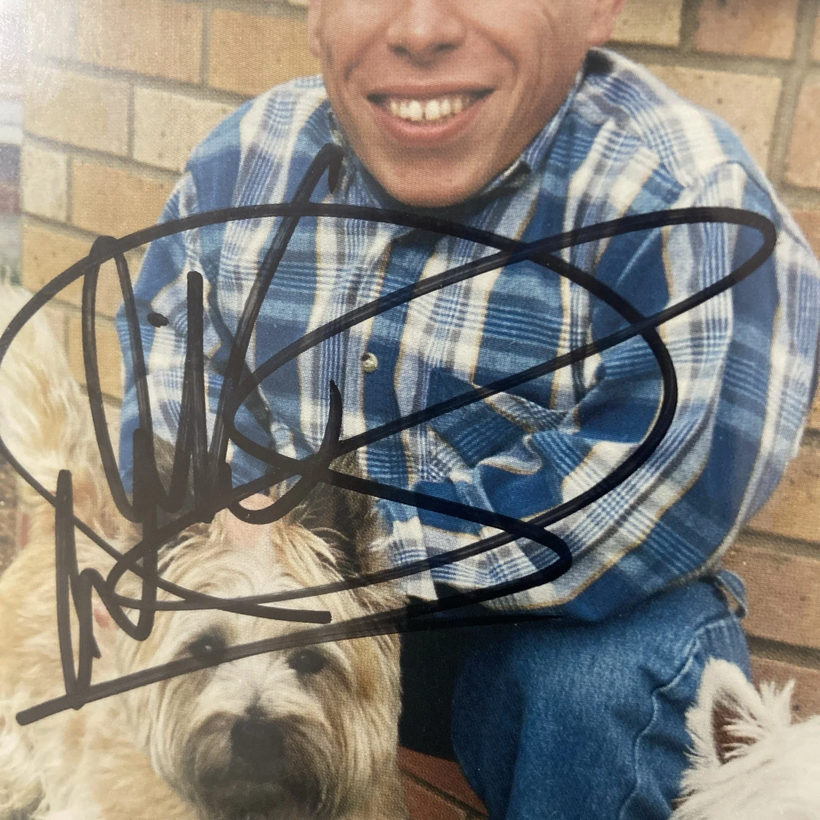 Warwick Davis — Warwick Davis (STAR WARS) Signed 4x6 inch Authentic Autograph Willow Ewok, image 2
