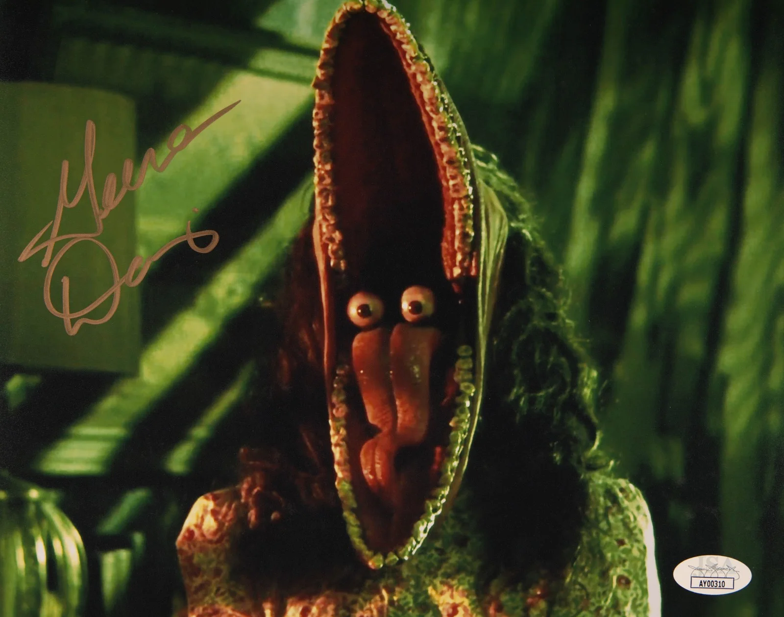 Geena Davis — Geena Davis Signed 8x10 Photo as Lydia Deetz Beetlejuice JSA Private Signing, изображение 2
