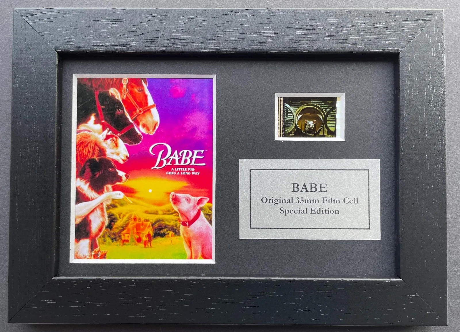 BABE of 1995 Original Mini 35mm Film Cell set within Quality Wood Frame + COA v2, image 5