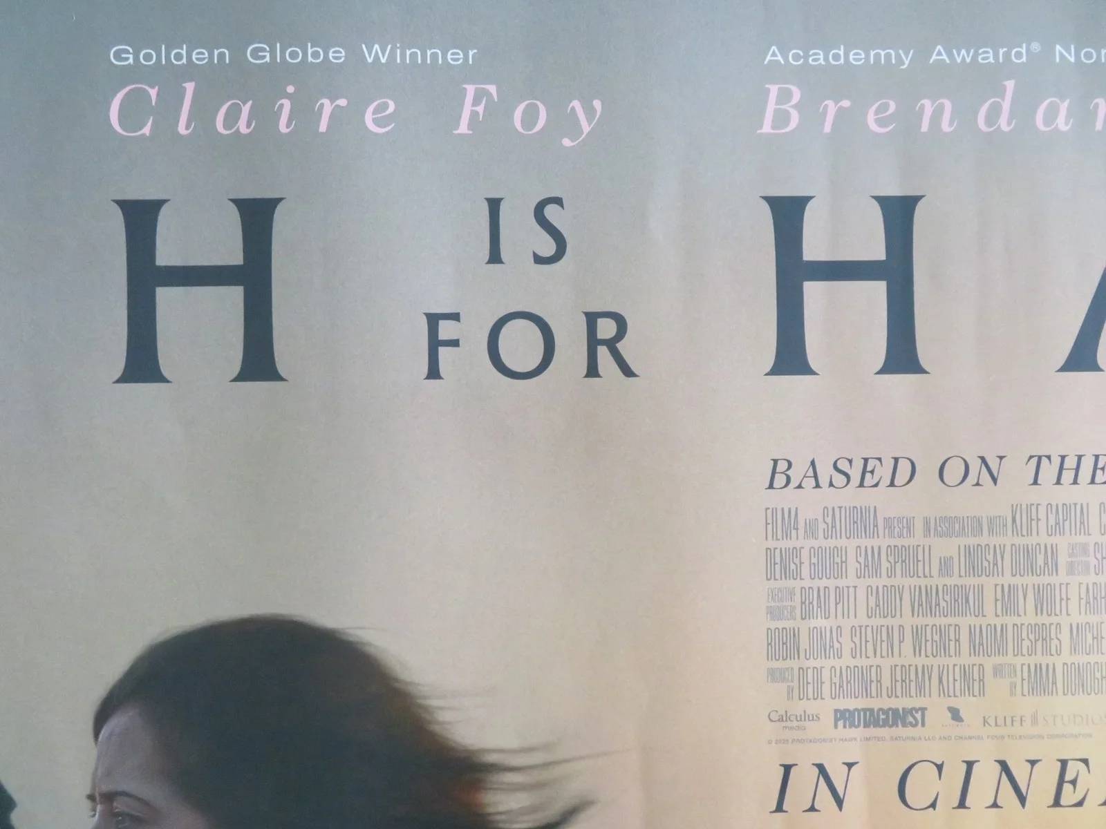 H Is For Hawk UK Quad Rolled Poster Claire Foy Brendan Gleeson 2025, изображение 2
