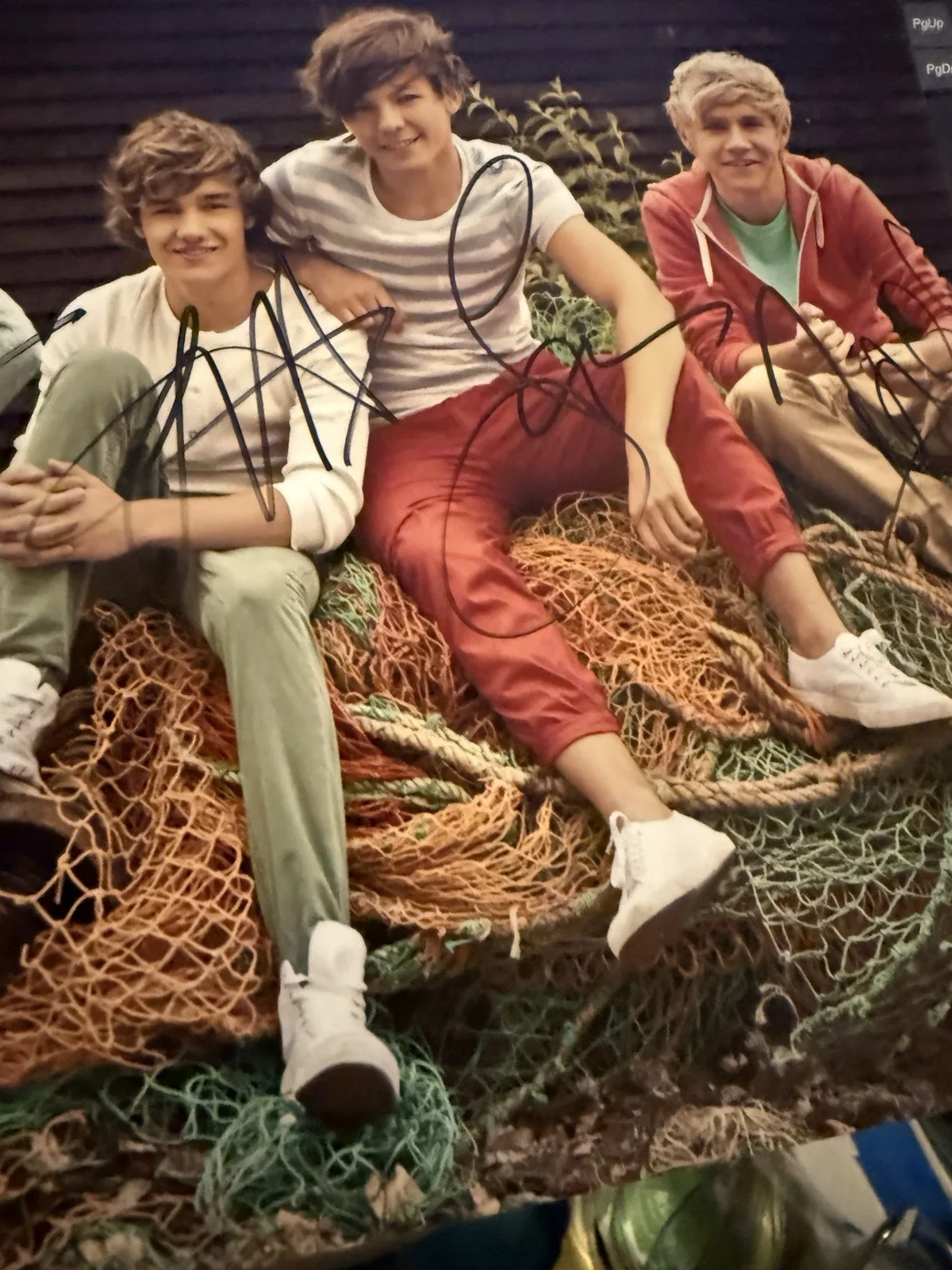 RARE One Direction Autographed Picture Fuji Film All 8 Autographed Signed, image 3