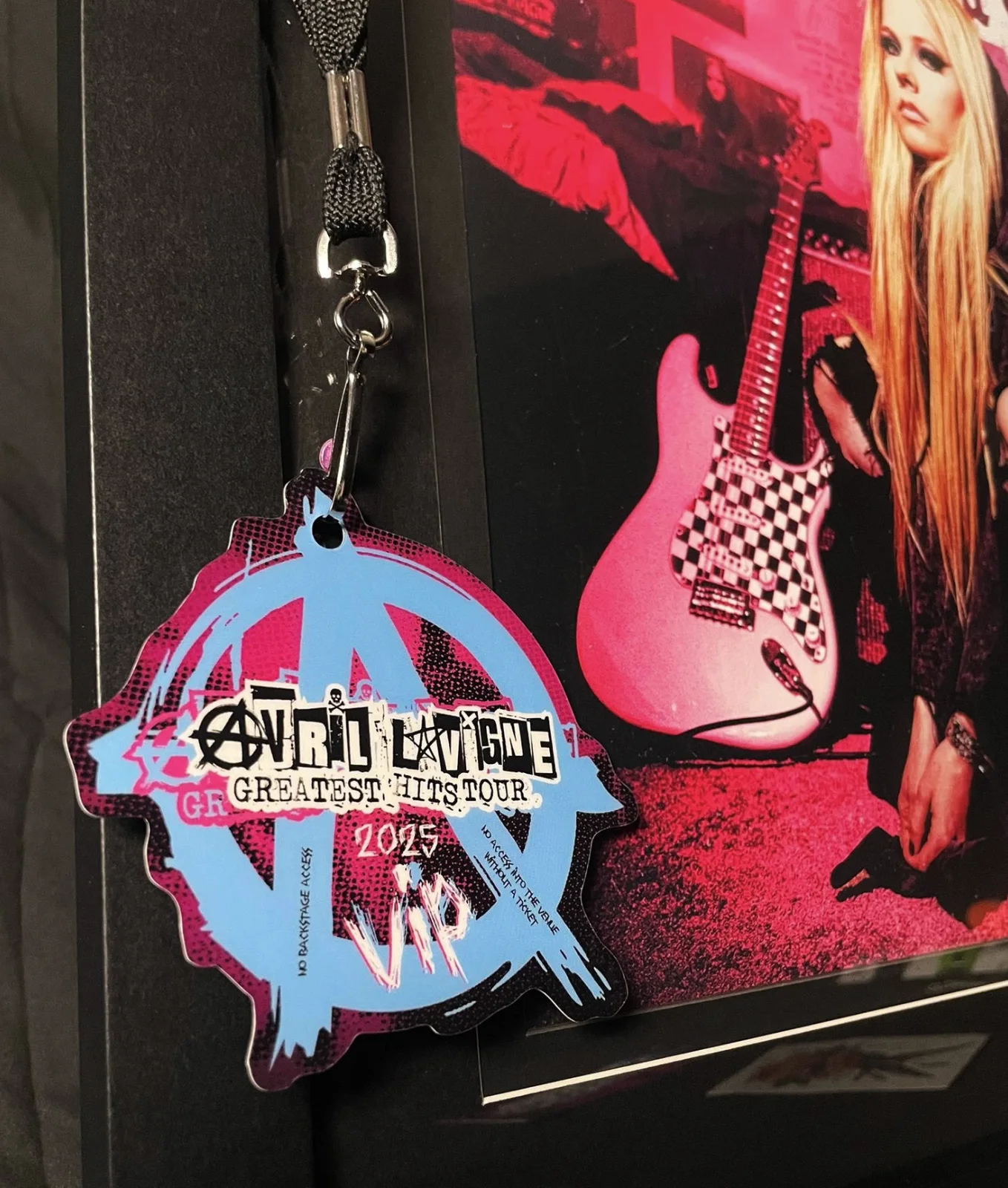 JSA SIGNED & FRAMED | AVRIL LAVIGNE 🎸 Greatest Hits VIP Tour Package Vinyl 2LP, изображение 3