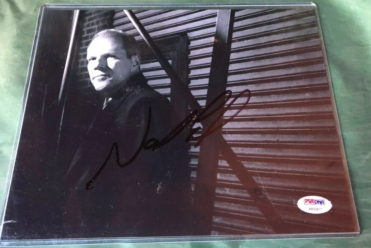 Noah Emmerich — Noah Emmerich (Jenner) The Walking Dead Signed PSA/DNA Authenticated 8x10 Photo