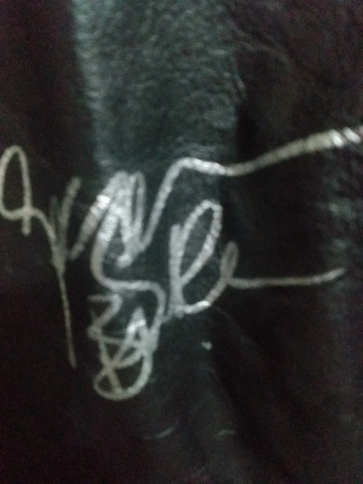 Black Sabbath Autographed Lucky Leather Inc. Jacket & Signed CD Booklet, image 3