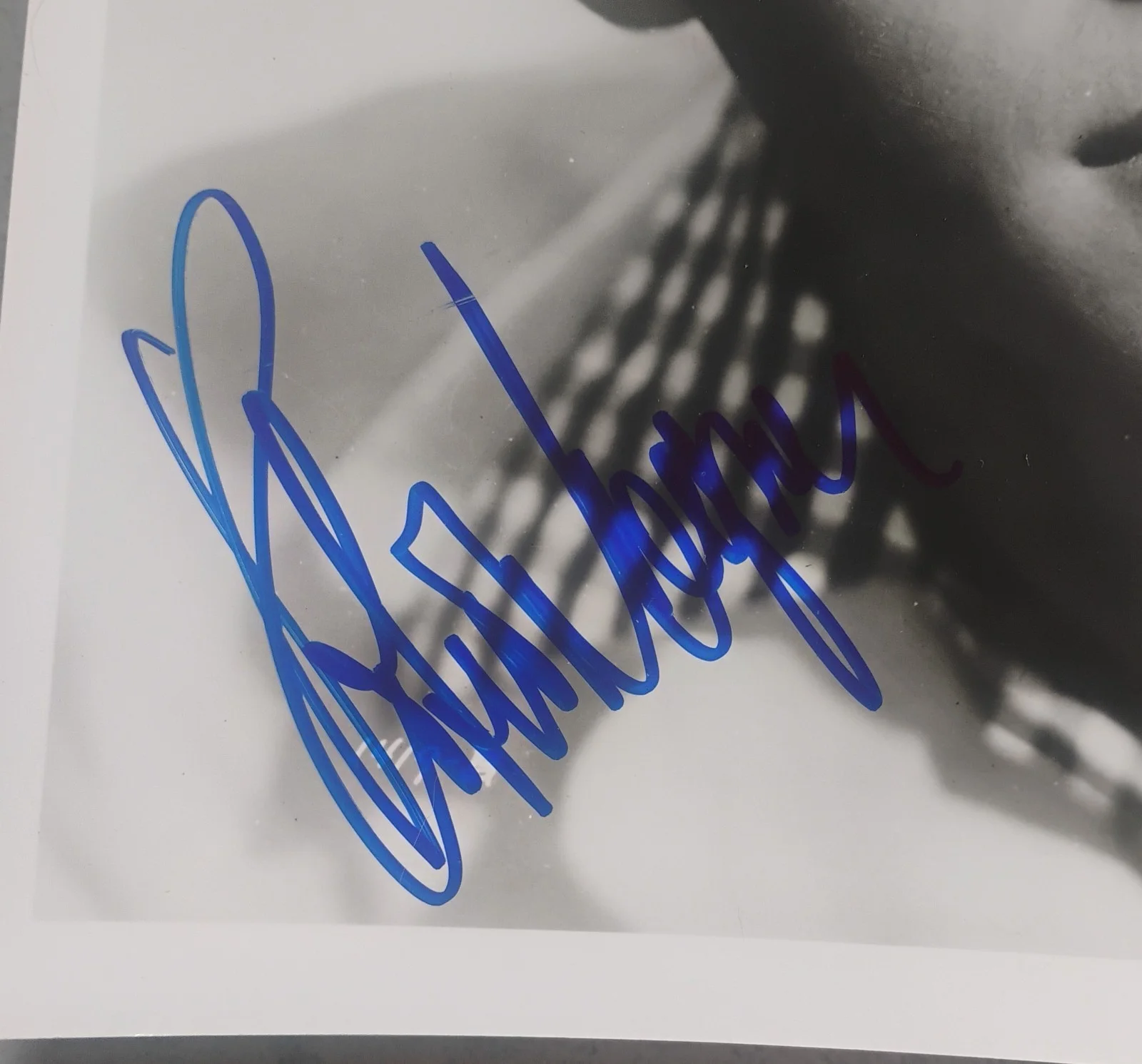 Robert Wagner Hand Signed Autograph JSA COA 8x10 Photo NO US TARIFFS, image 3