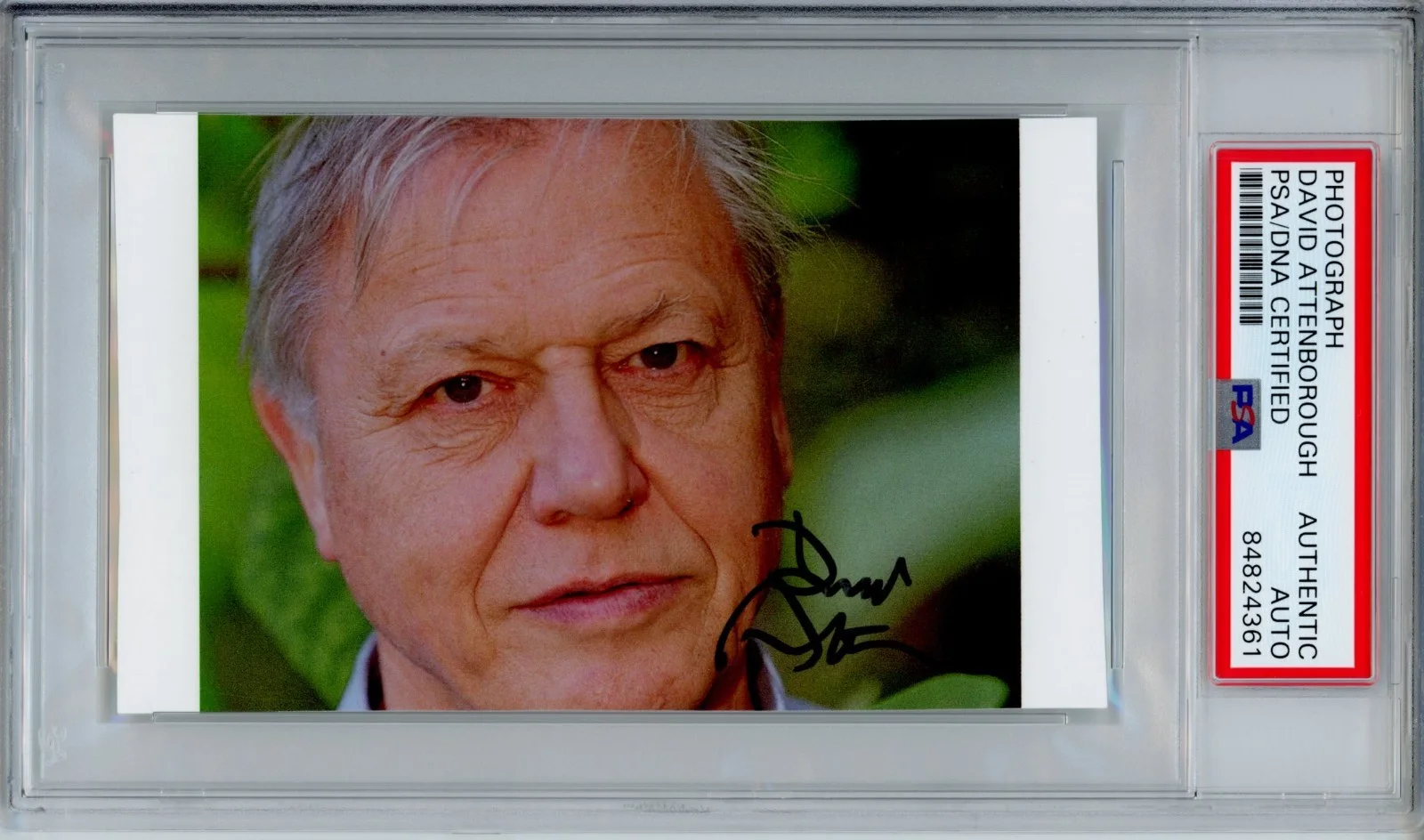 David Attenborough — DAVID ATTENBOROUGH SIGNED PHOTOGRAPH PHOTO AUTOGRAPH PSA DNA COA PLANET EARTH