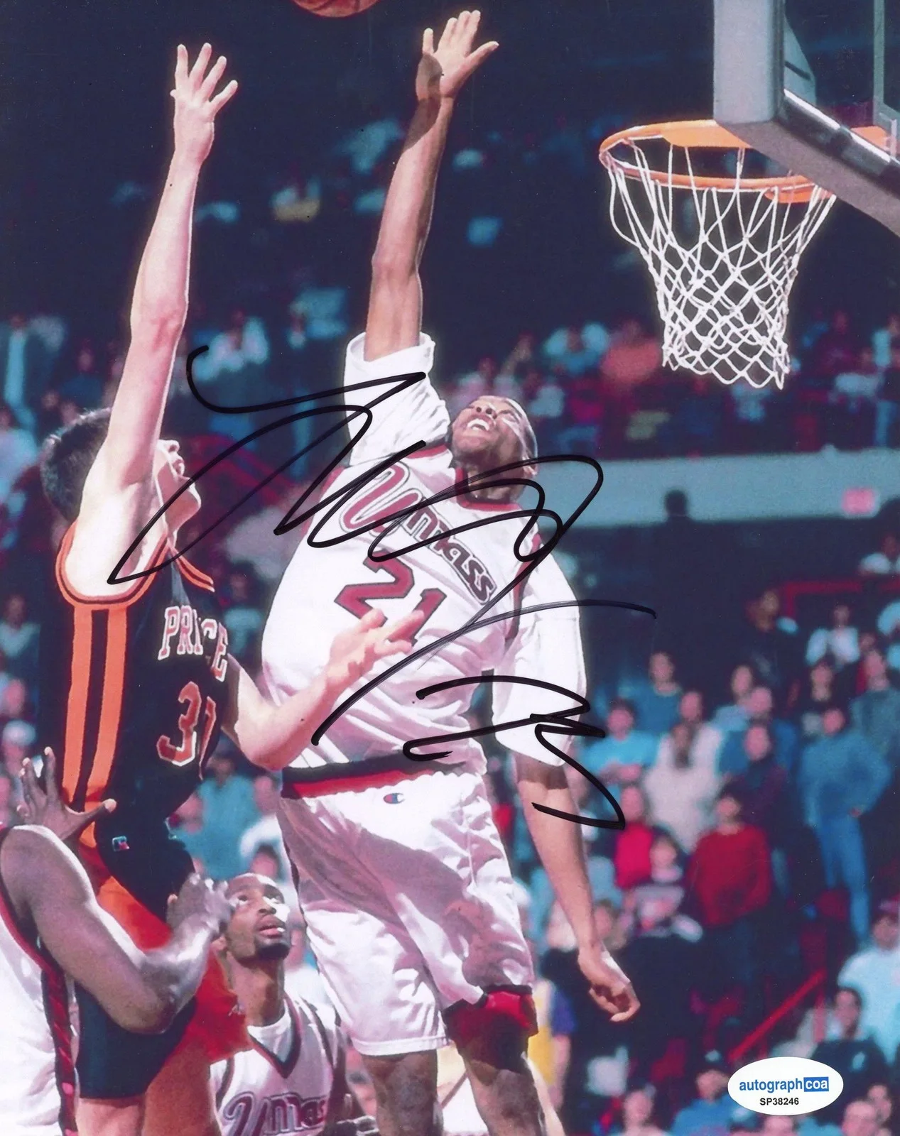Marcus Camby — Marcus Camby AUTOGRAPH Signed UMass Basketball Autographed 8x10 Photo ACOA, image 2