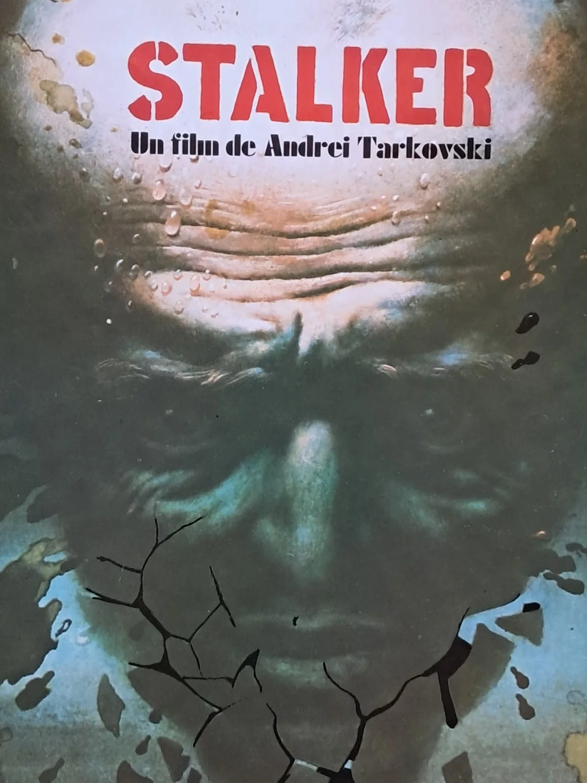 Stalker ORIGINAL Spanish PROGRAM Andrei Tarkovsky Russian sci-fi Lemeshev art, image 2