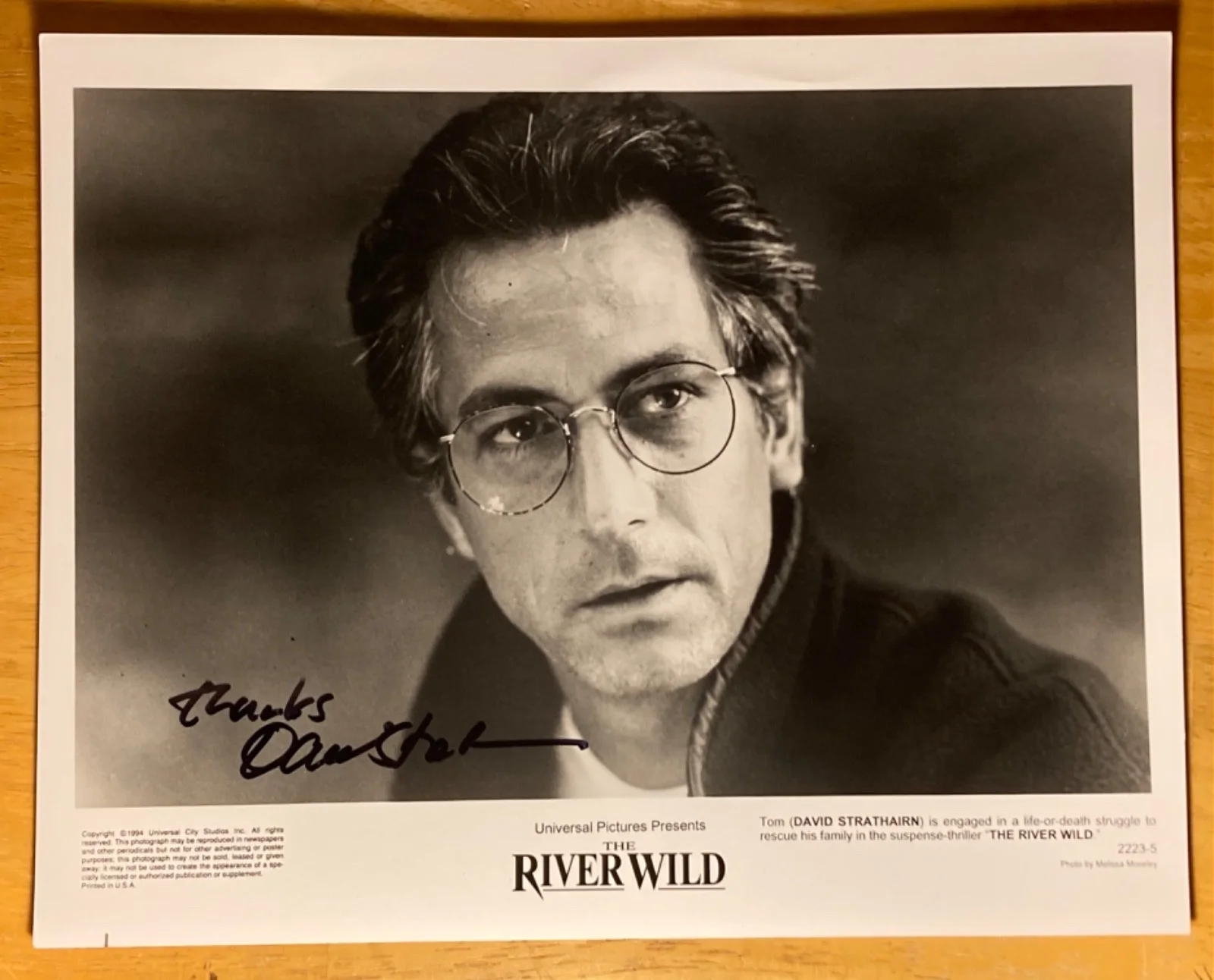 Hand SIGNED David Strathairn 10x8 (1994) Press Photo - The River Wild, изображение 2