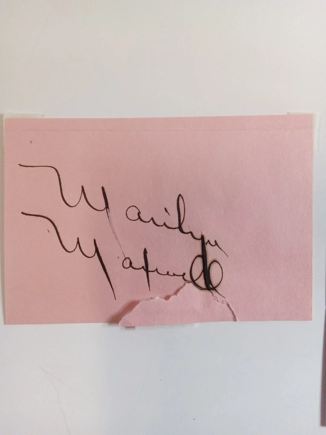 Marilyn Maxwell Signed Cut JSA The Lemon Drop Kid, image 2