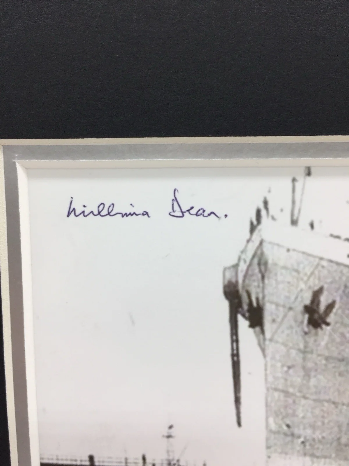 RARE Millvina Dean Titanic Survivor Signed Photo Display + COA AUTOGRAPH, изображение 4