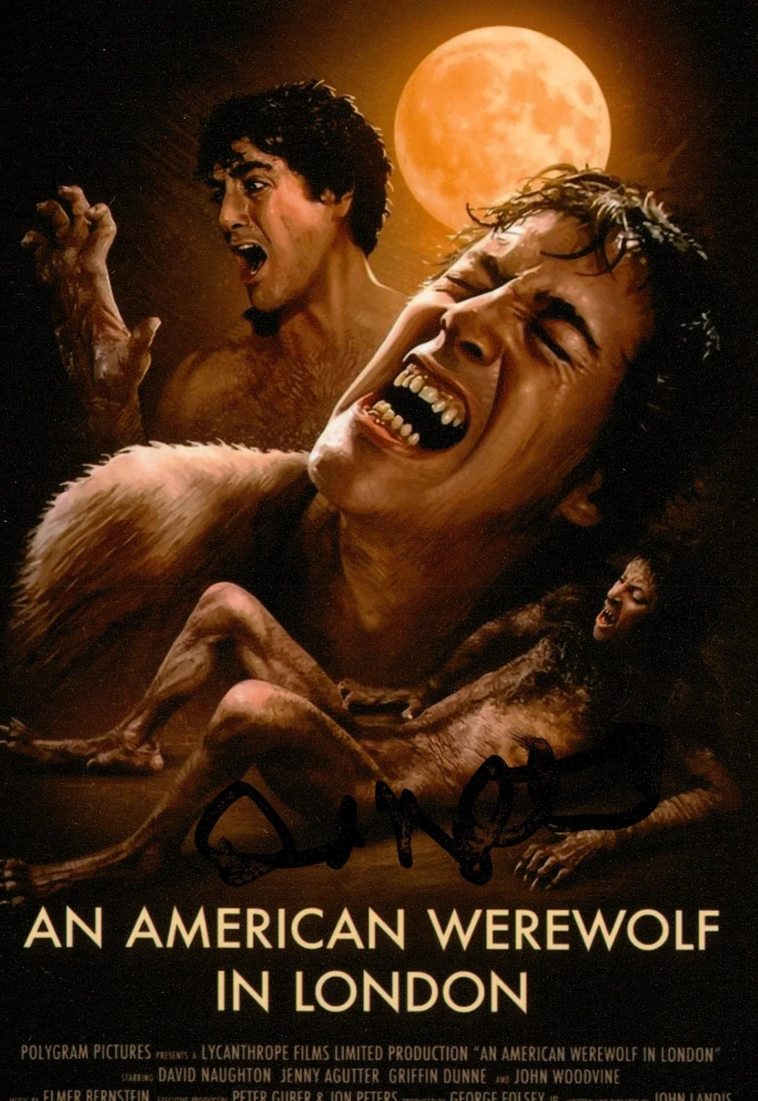 David Naughton — David Naughton Hand Signed 6x4 Photo American Werewolf In London Autograph + COA