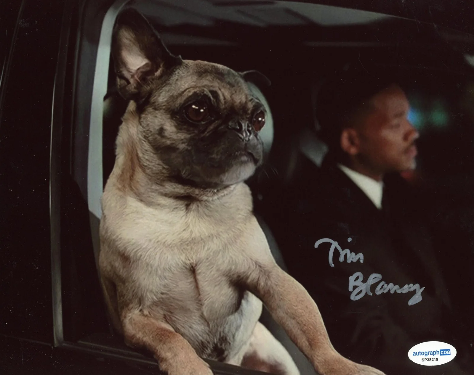 Tim Blaney — Tim Blaney "Men in Black" AUTOGRAPH Signed 'Frank the Pug' 8x10 Photo E ACOA, изображение 2