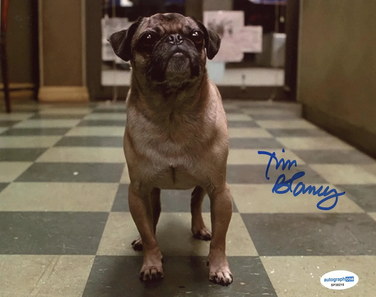 Tim Blaney — Tim Blaney "Men in Black" AUTOGRAPH Signed 'Frank the Pug' 8x10 Photo D ACOA, image 2