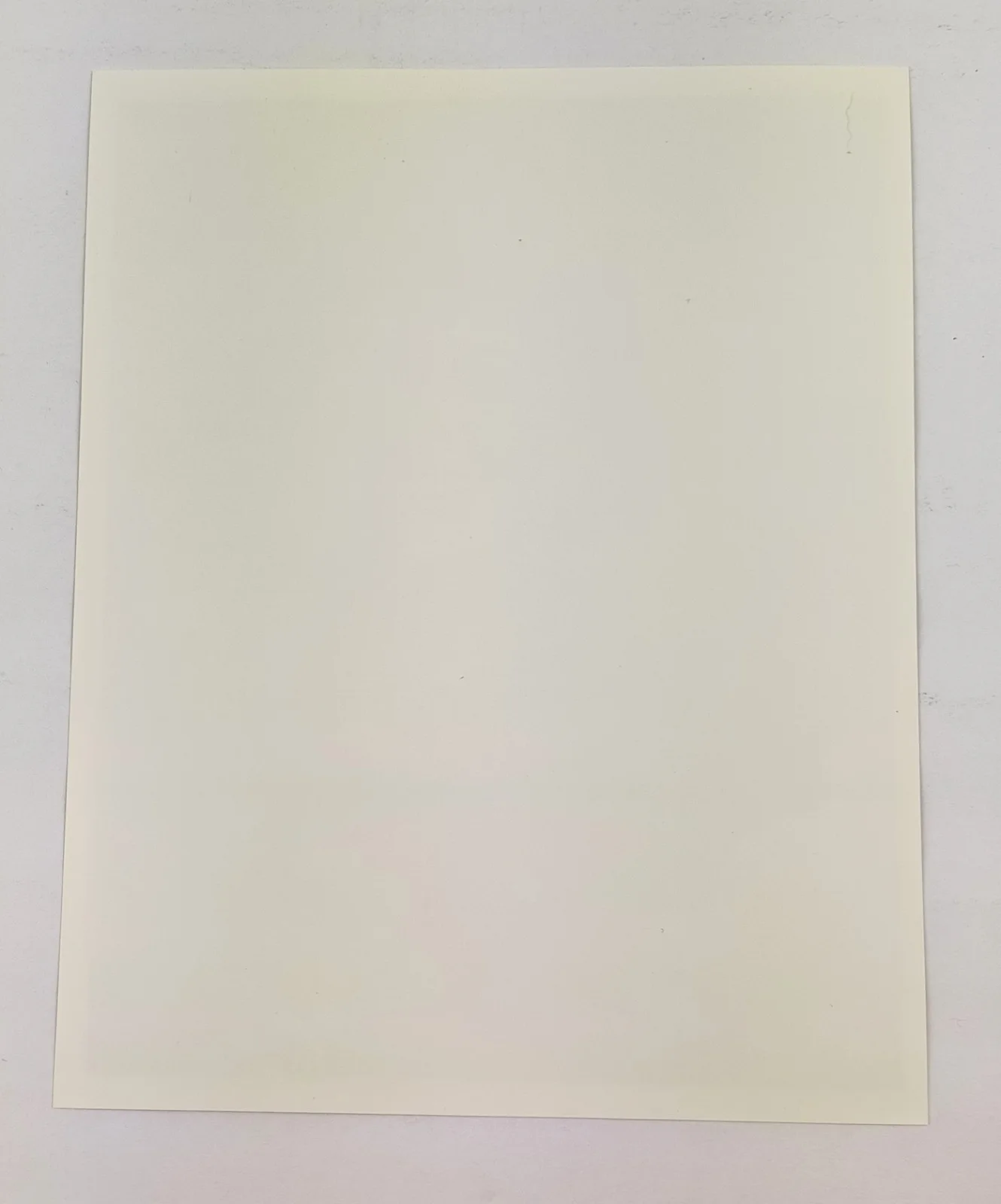 Carol Burnett — Carol Burnett Autograph 8x10 Black & White Vintage Photo Photograph L2, изображение 3