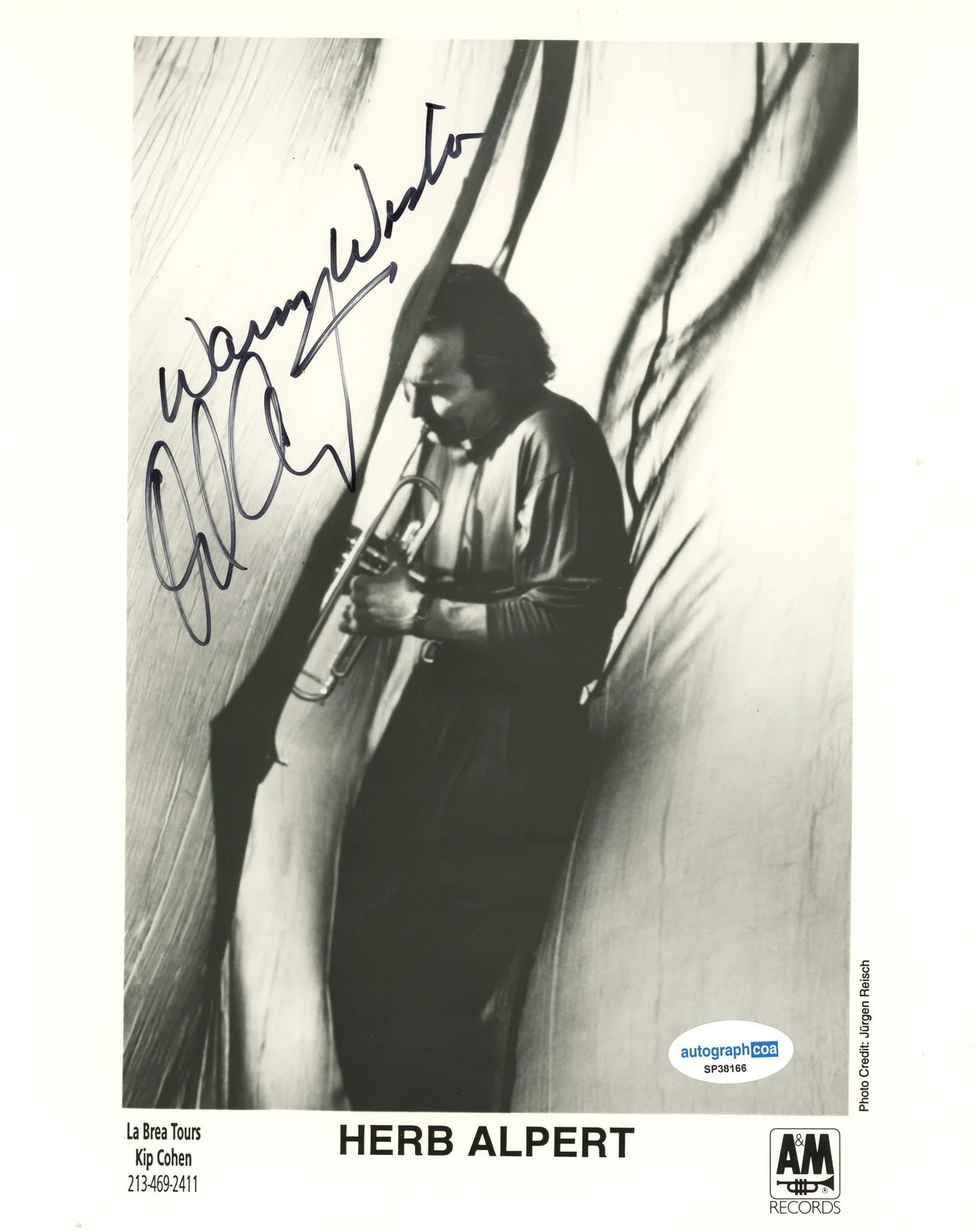 Herb Alpert — Herb Alpert "Tijuana Brass" Trumpeter AUTOGRAPH Signed 8x10 Photo ACOA, изображение 2