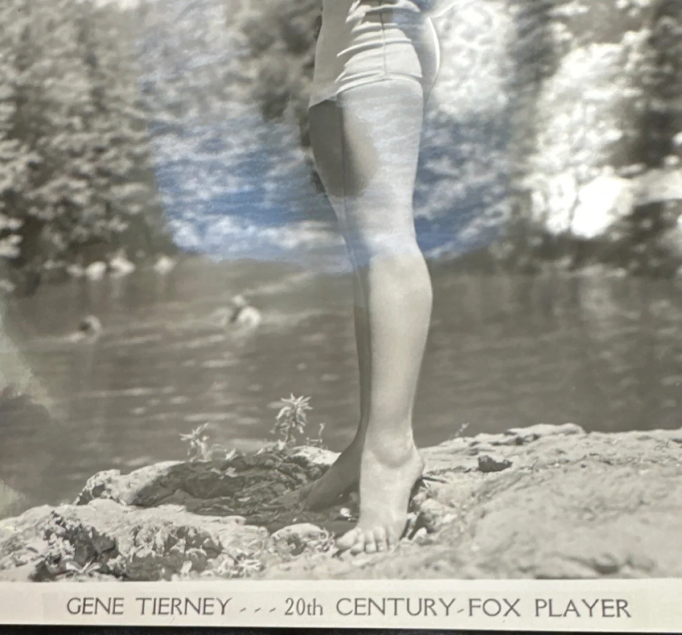 Gene Tierney — Gene Tierney Original Signed Photograph 20th Century Fox Autograph Movie, изображение 2