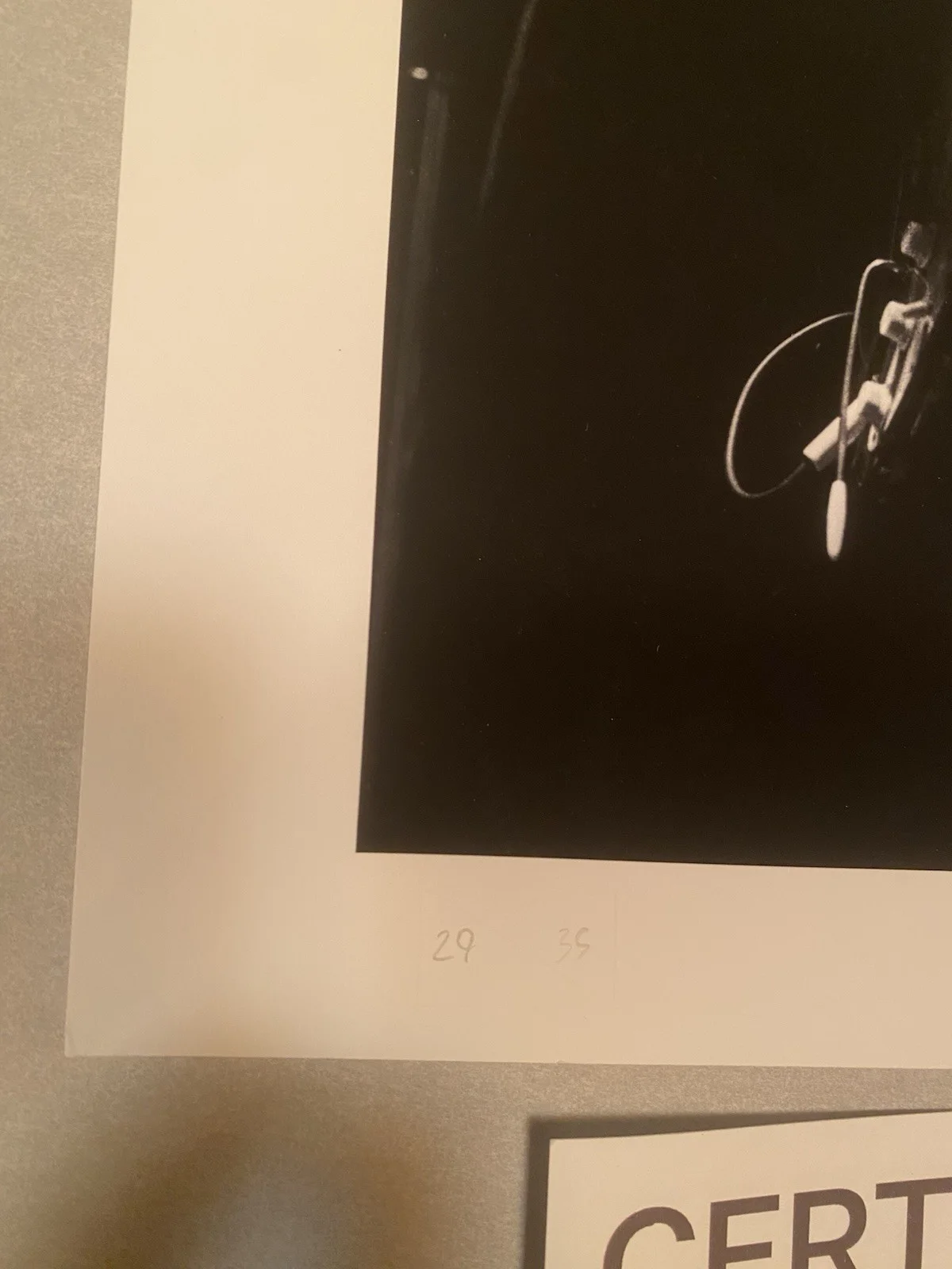 Steve Rapport David Byrne Loves Goes To Buildings On Fire Art Photo Signed COA, image 3