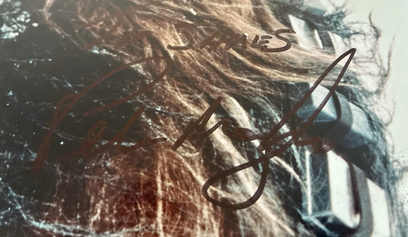 PETER MAYHEW *SIGNED IN PERSON - CHEWBACCA - STAR WARS - LONDON 24th APRIL 2001, image 2