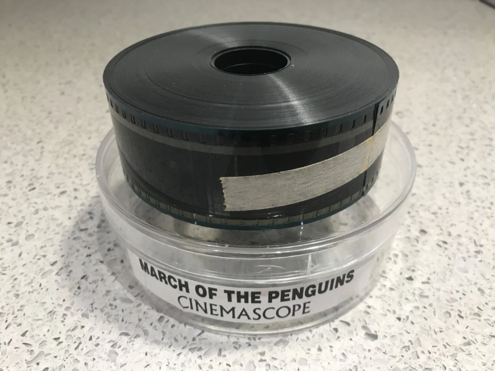 35mm Movie Trailer Film Cell Cinema Reel - MARCH OF THE PENGUINS (2005), изображение 2