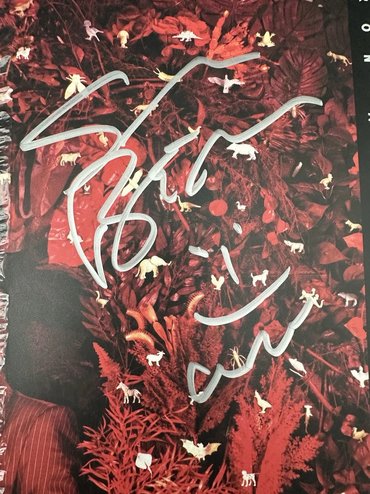Iron and Wine Hen’s Teeth AUTOGRAPHED Sam Beam Marble Vinyl LP 2026, image 2