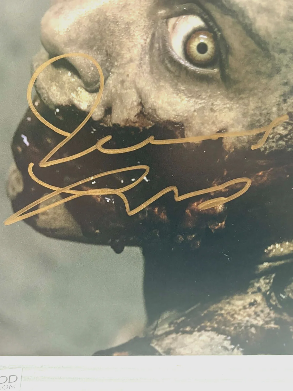 Jessica Lucas — Jessica Lucas SIGNED 8x10 Photo "Evil Dead" JSA COA, image 3
