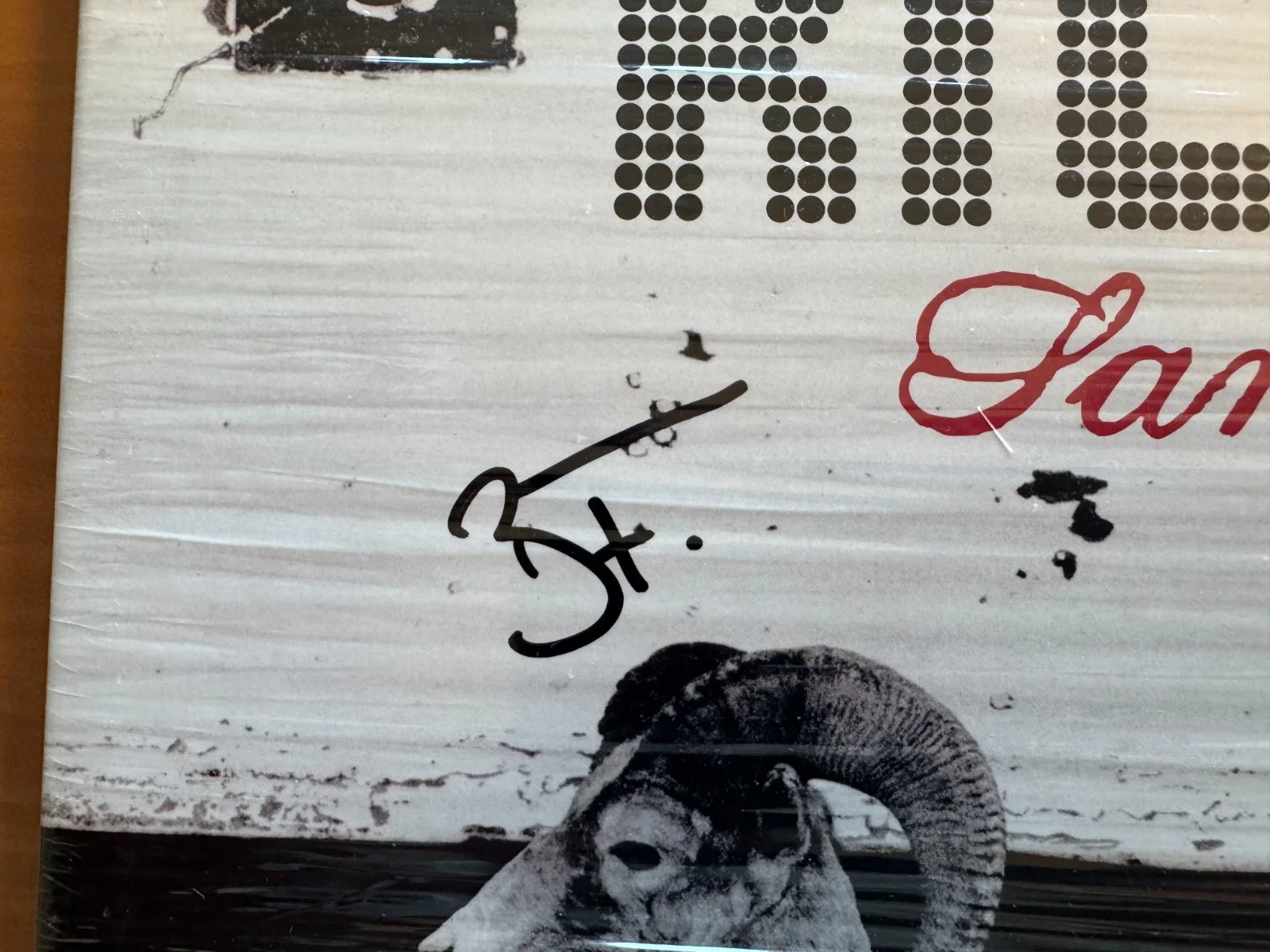 Brandon Flowers Autographed UK Import Vinyl LP Sam's Town The Killers PSA/DNA, изображение 3