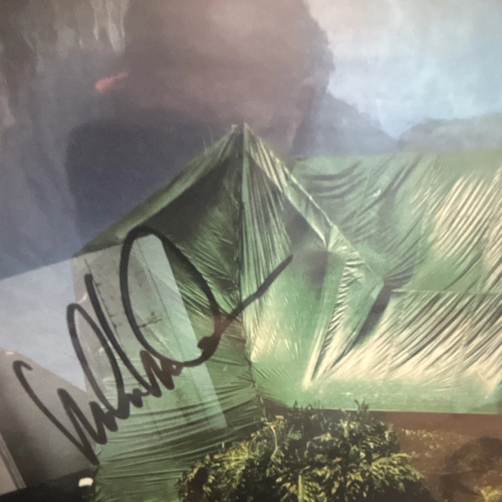 Michael McDonald Signed Vinyl Record Cover no album AutographCOA Authentication, image 2
