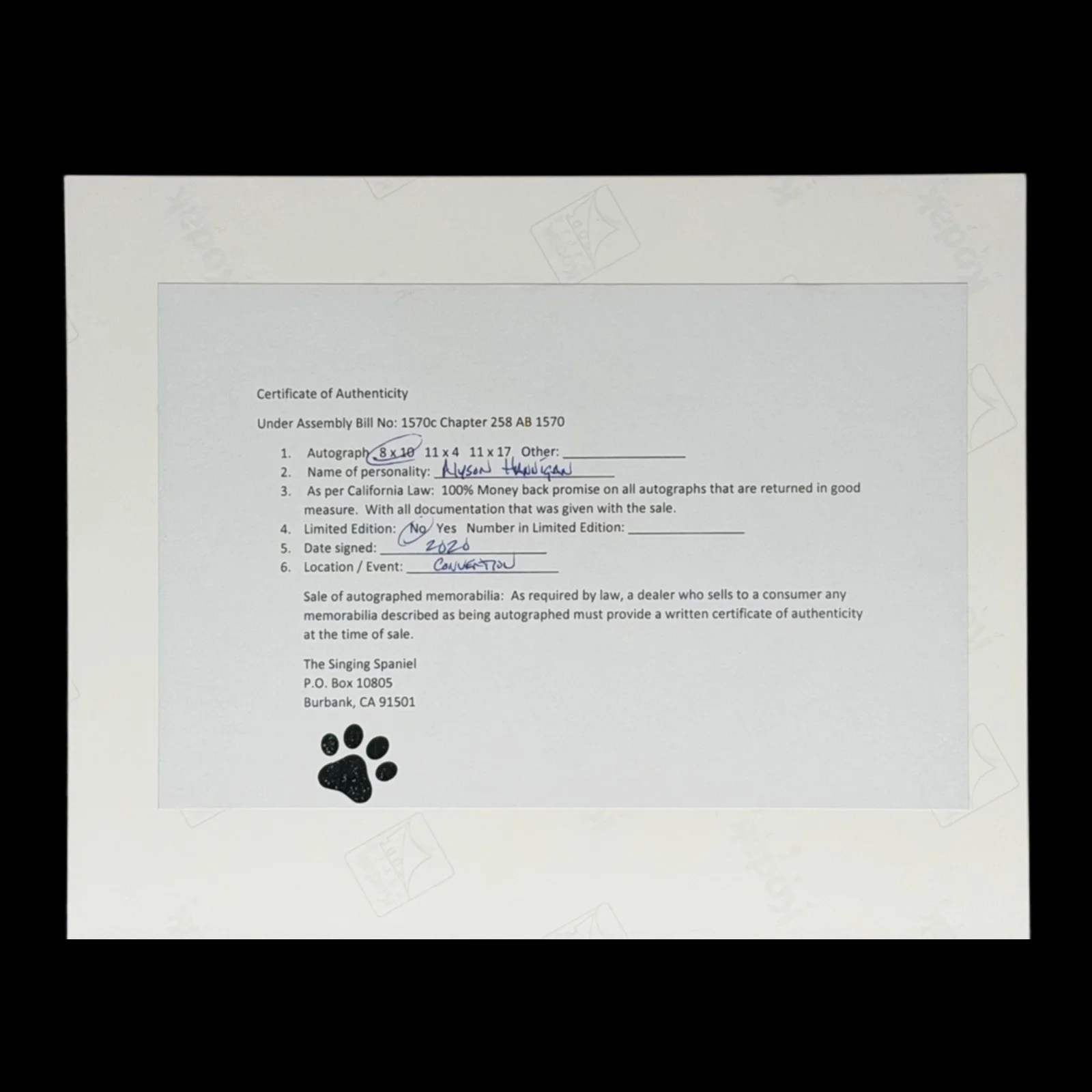 Alyson Hannigan — Alyson Hannigan Signed 8x10 Photo Buffy the Vampire Slayer Singing Spaniel COA, изображение 3