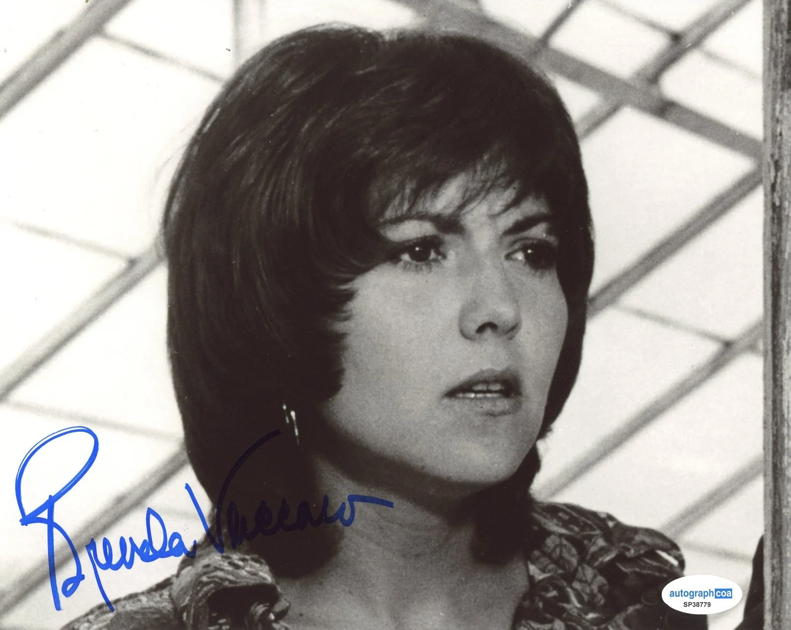 Brenda Vaccaro — Brenda Vaccaro "Midnight Cowboy" AUTOGRAPH Signed 'Shirley' 8x10 Photo ACOA, image 2