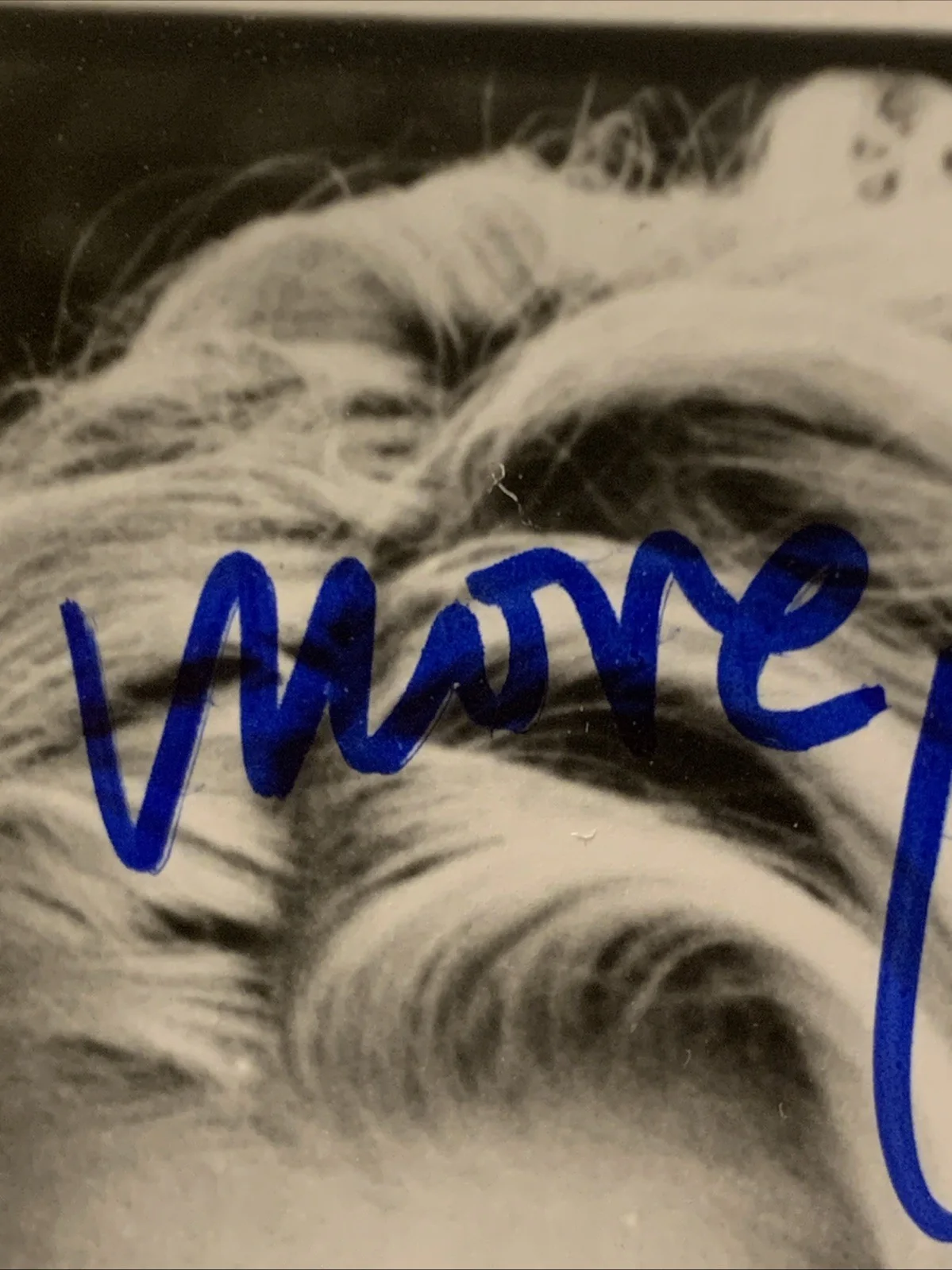 AIMEE MANN “WHATEVER” HAND SIGNED IN PERSON INSCRIBED AUTOGRAPHED 8x10, image 4