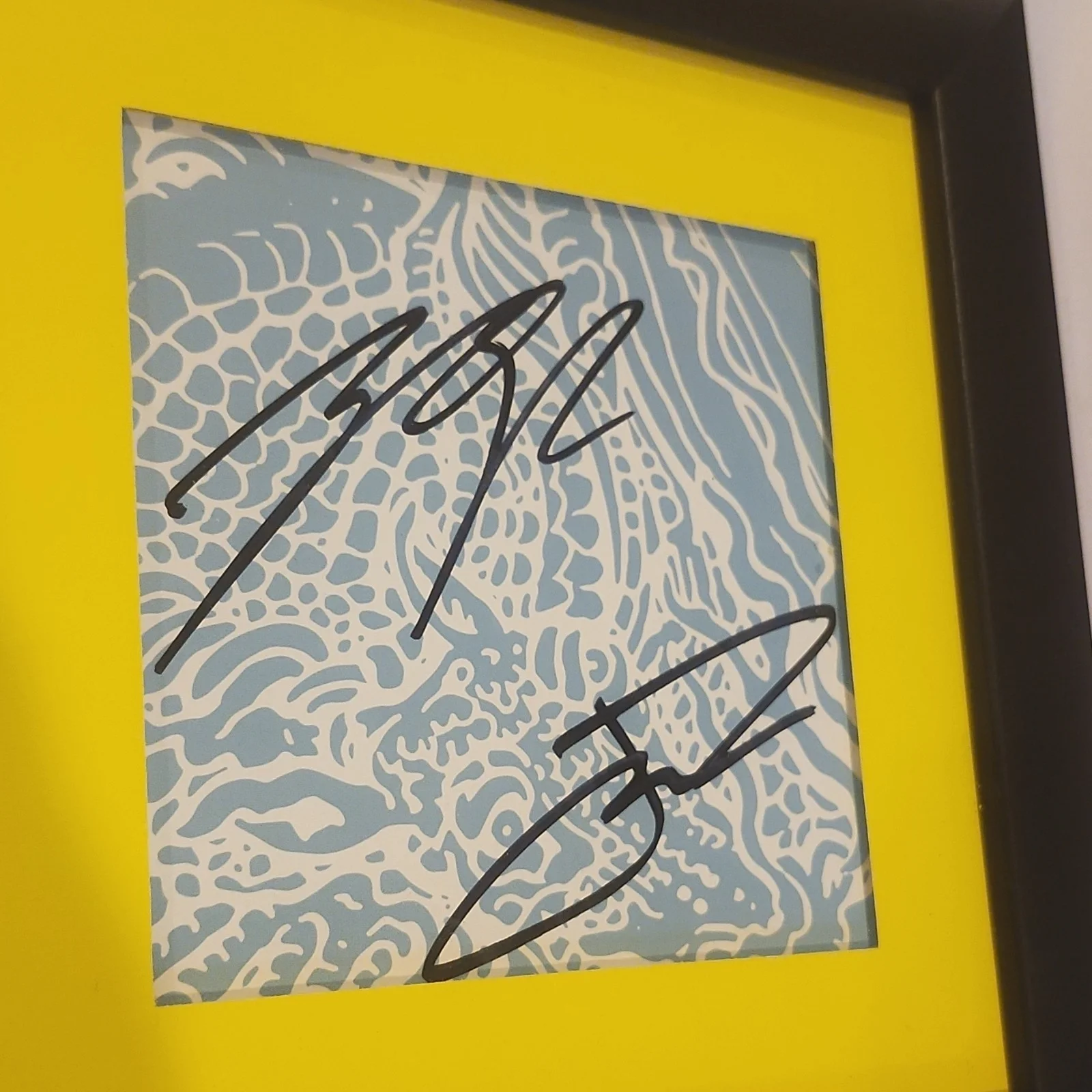 Scaled and Icy Signed Card Framed CD Twenty One Pilots, image 2