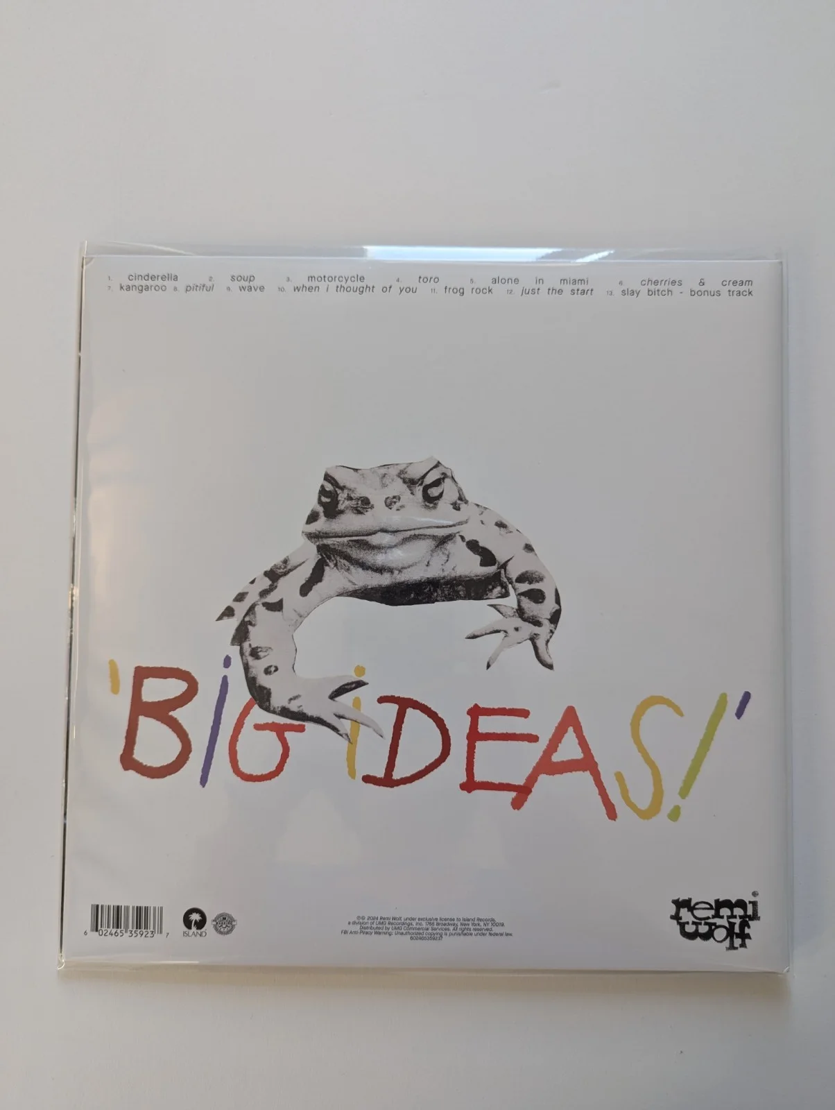 Remi Wolf Big Ideas Vinyl Autograph SIGNED JACKET (NOT INSERT) Black Vinyl, image 2