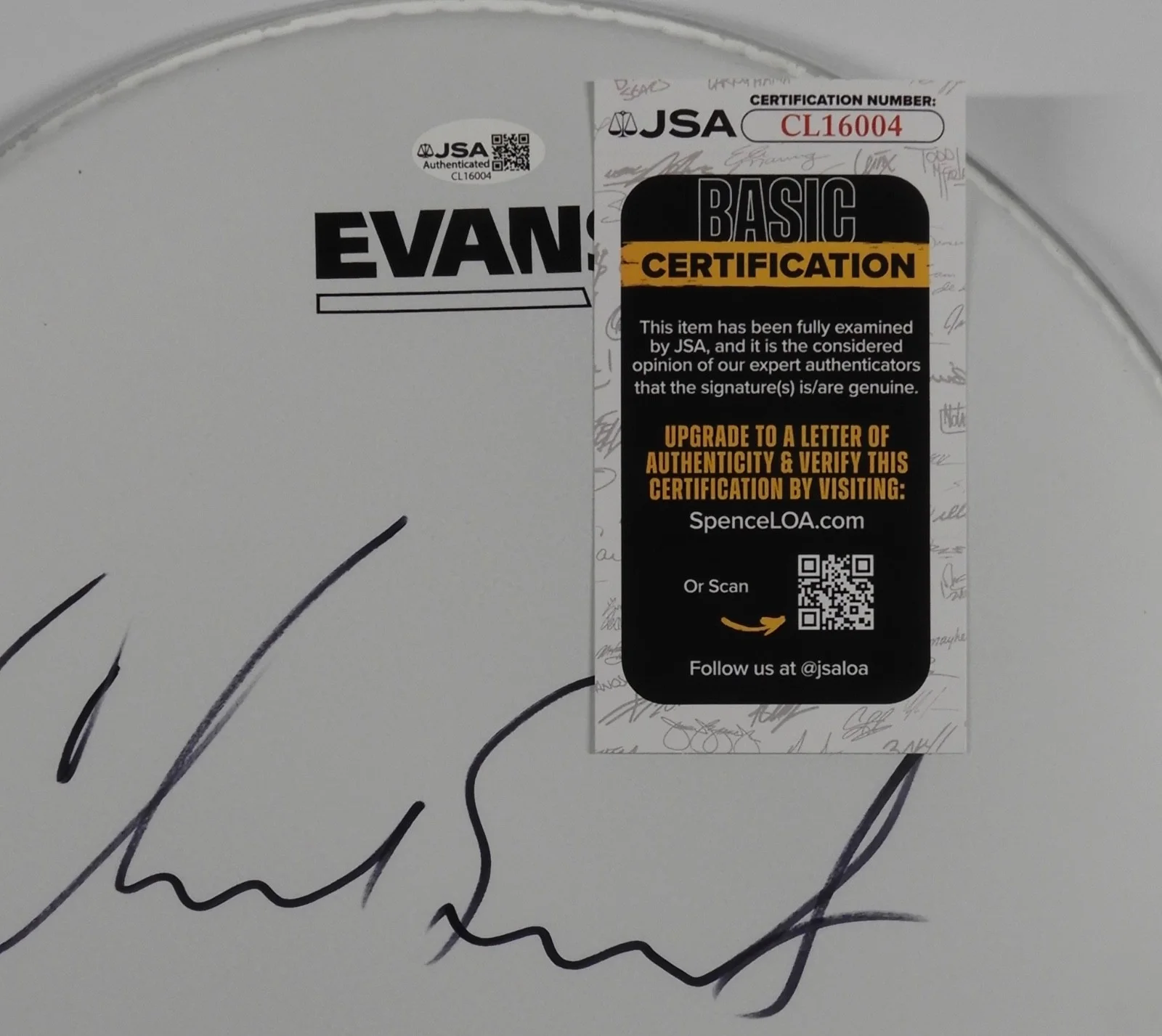 Chad Smith Red Hot Chili Peppers JSA Autograph Signed Drum Head 12", image 3