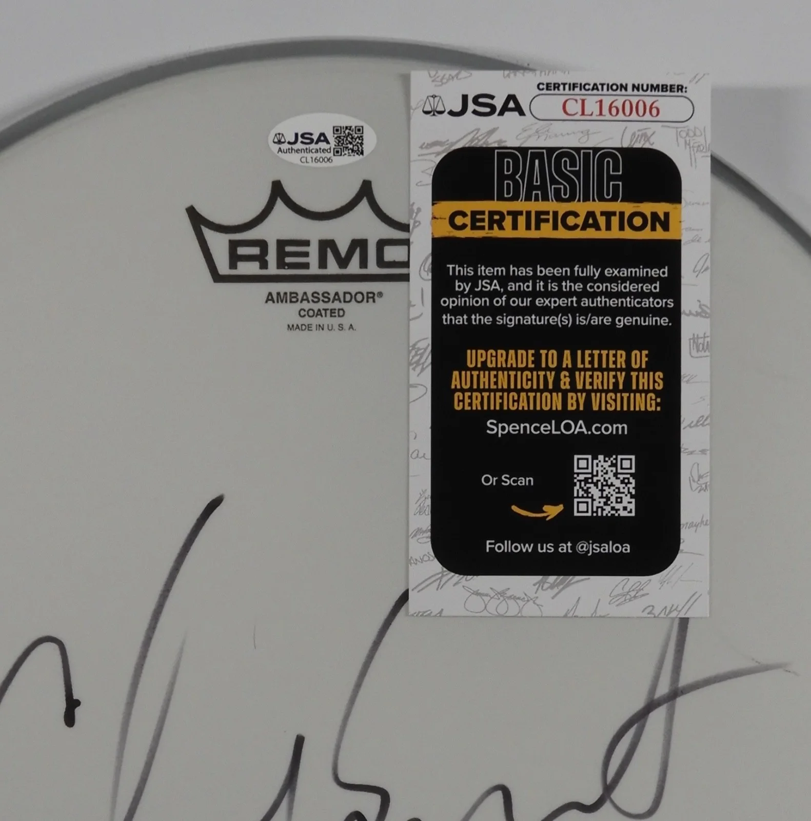 Chad Smith Red Hot Chili Peppers JSA Autograph Signed Drum Head 12", image 3