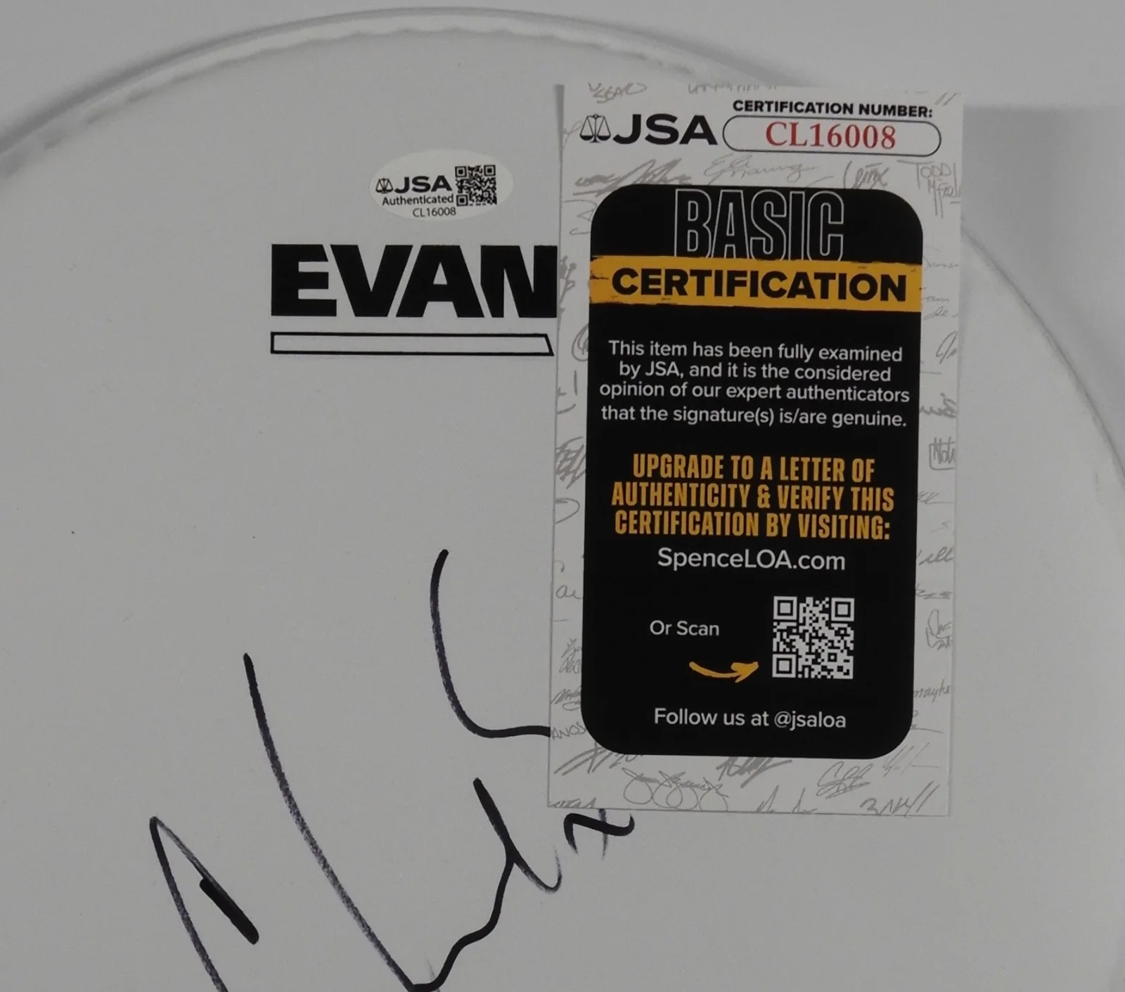 Chad Smith Red Hot Chili Peppers JSA Autograph Signed Drum Head 10", image 3