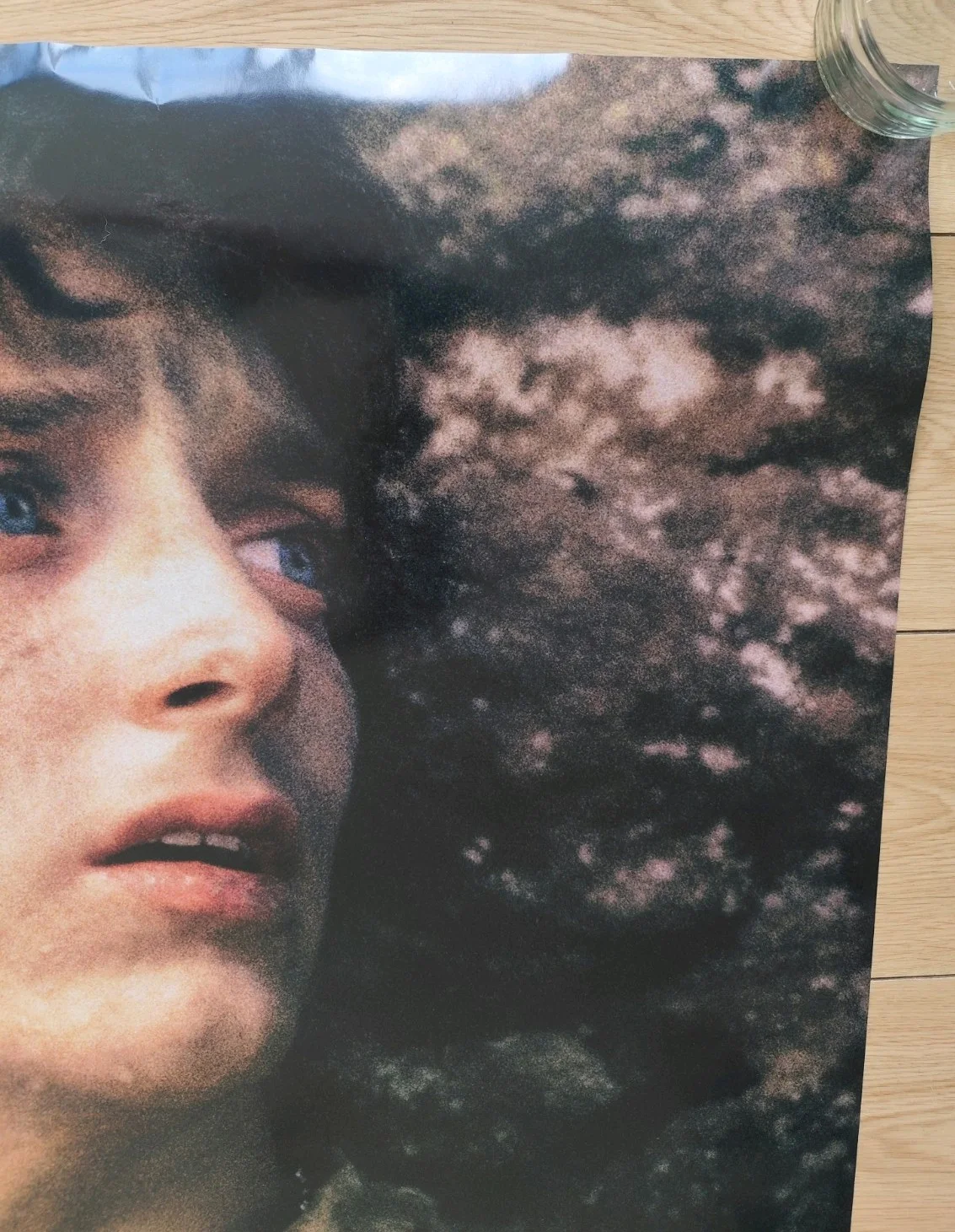 Lord Of The Rings Poster Return Of The King Frodo Double Sided one sheet, изображение 3
