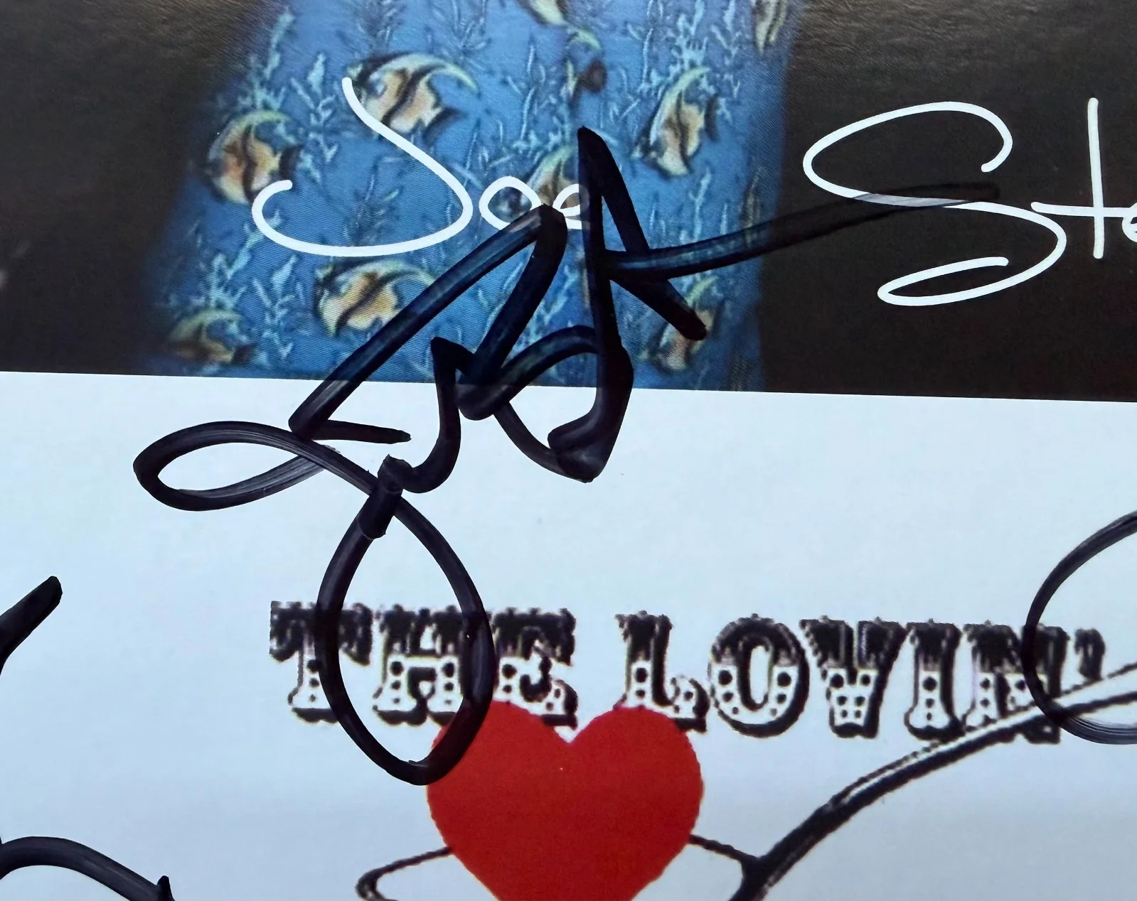 The Lovin Spoonful Band Signed Autographed Promo Card Music Folk Rock Butler, изображение 5