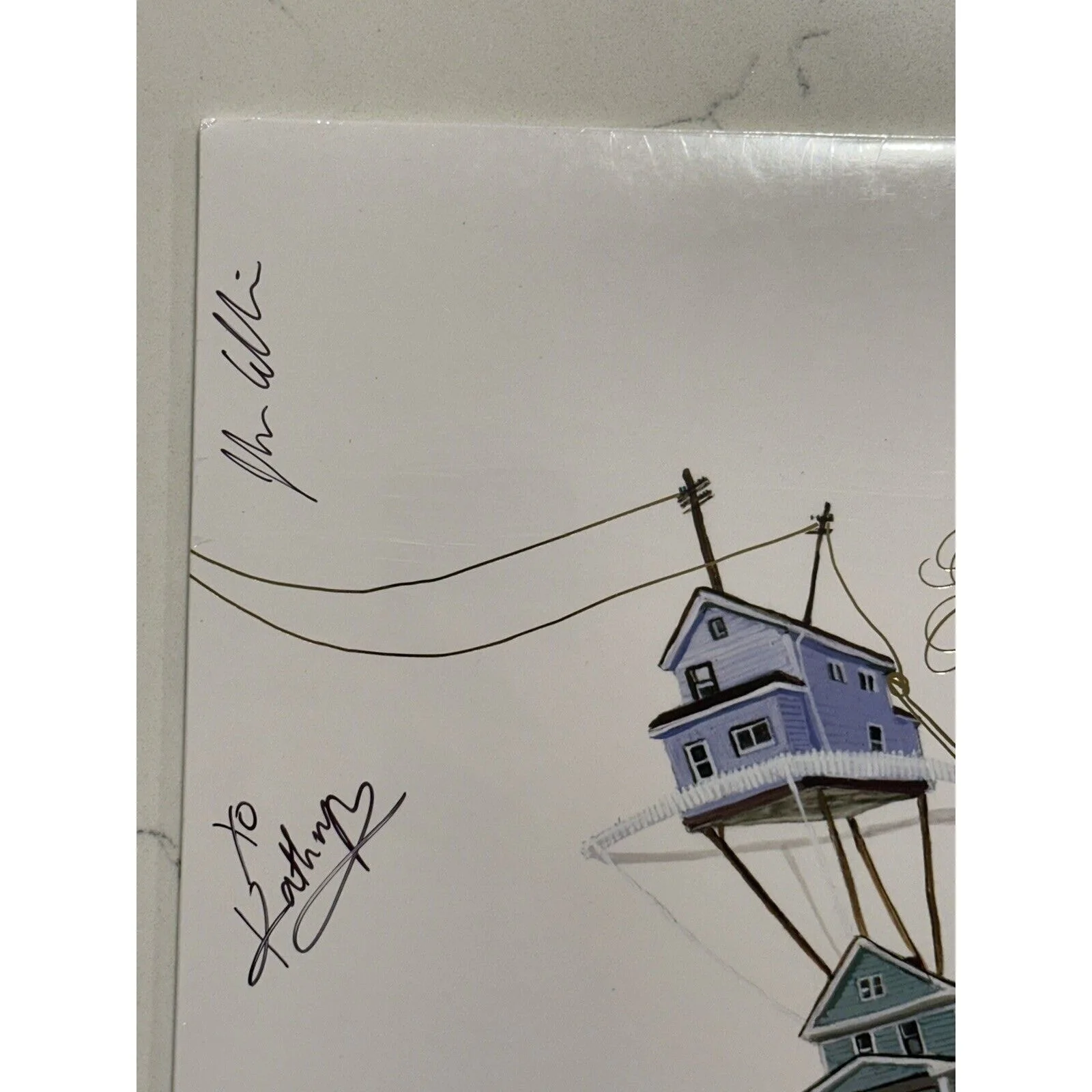 The New Pornographers band SIGNED lp album continue as a guest autographed #2, image 2