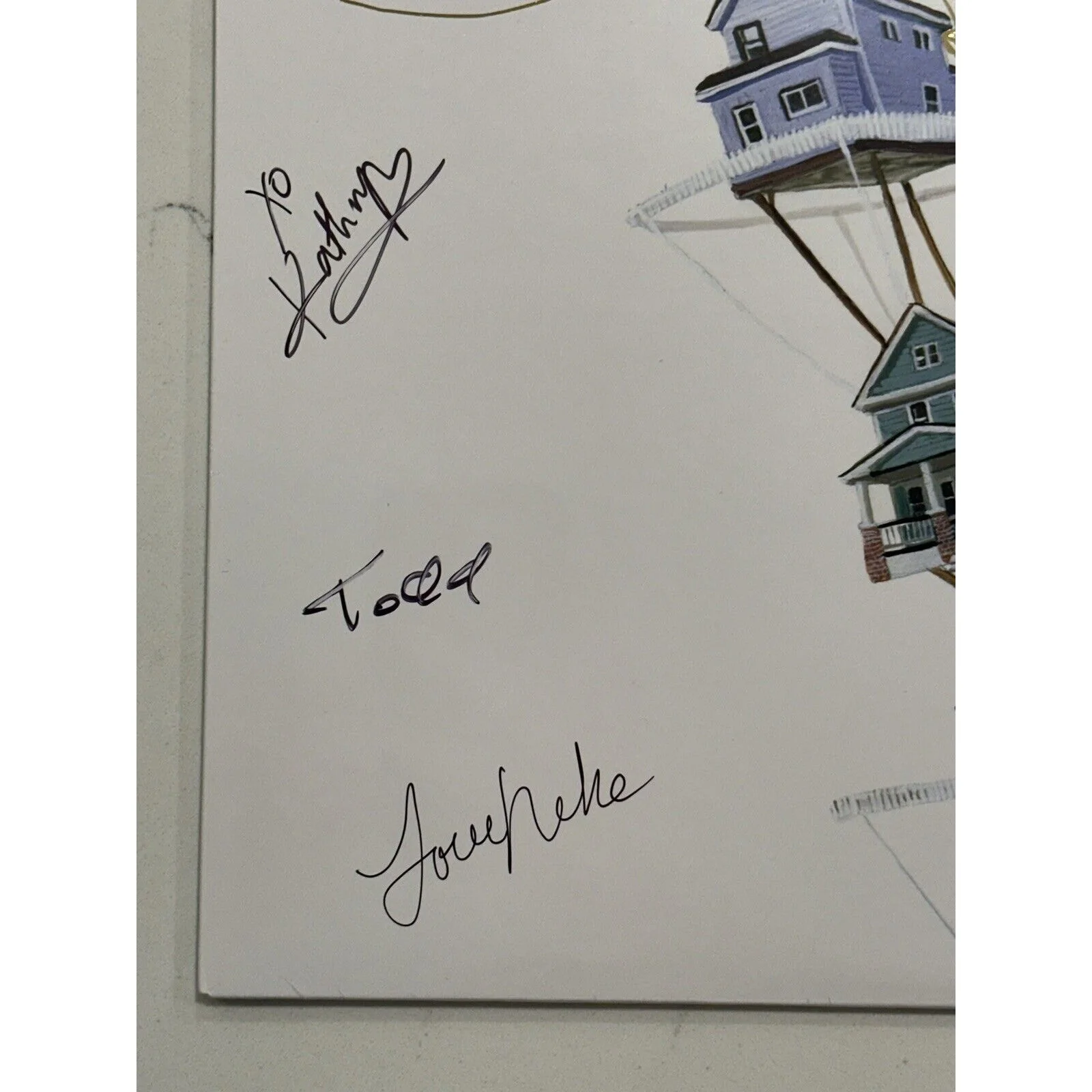 The New Pornographers band SIGNED lp album continue as a guest autographed #2, image 3
