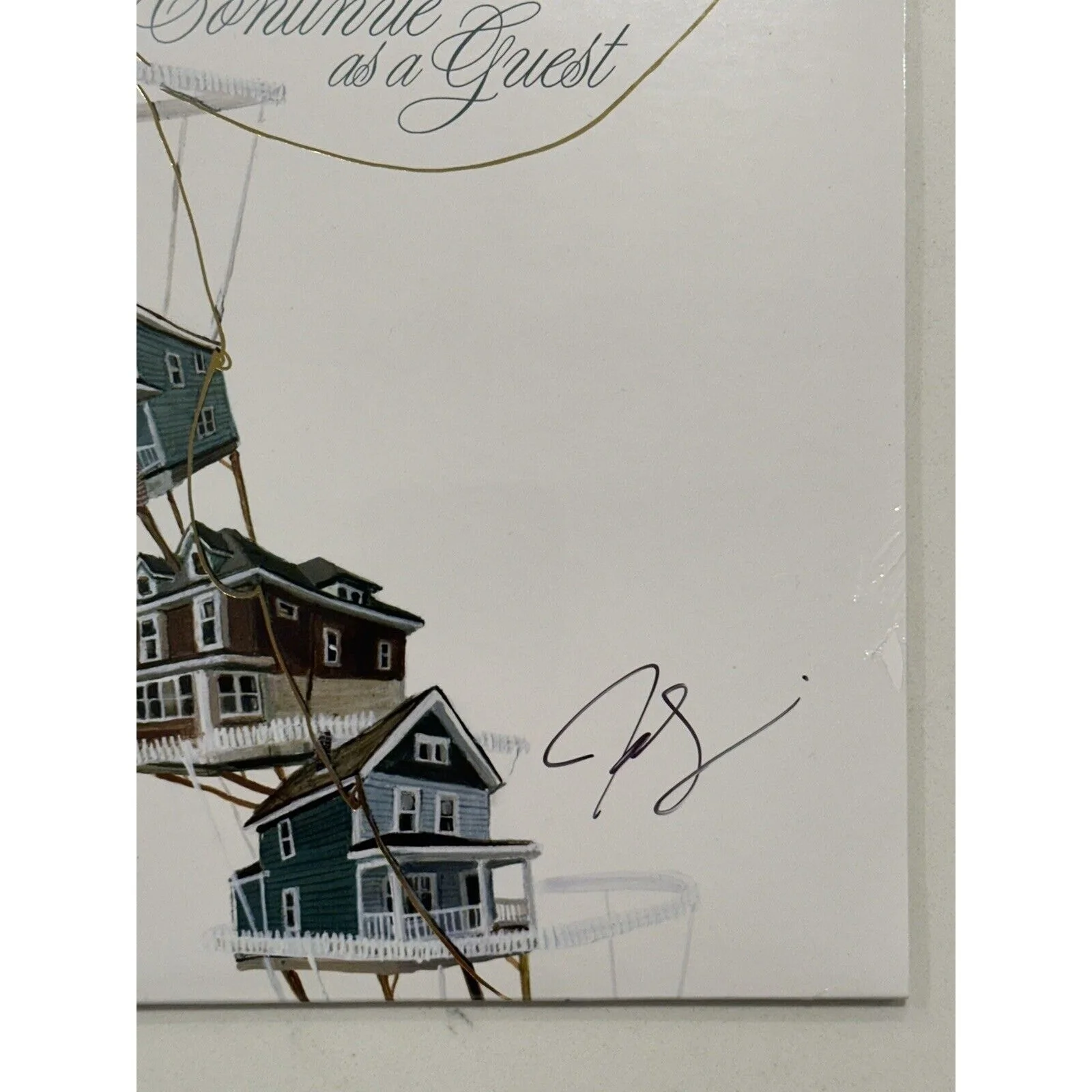 The New Pornographers band SIGNED lp album continue as a guest autographed #2, image 4