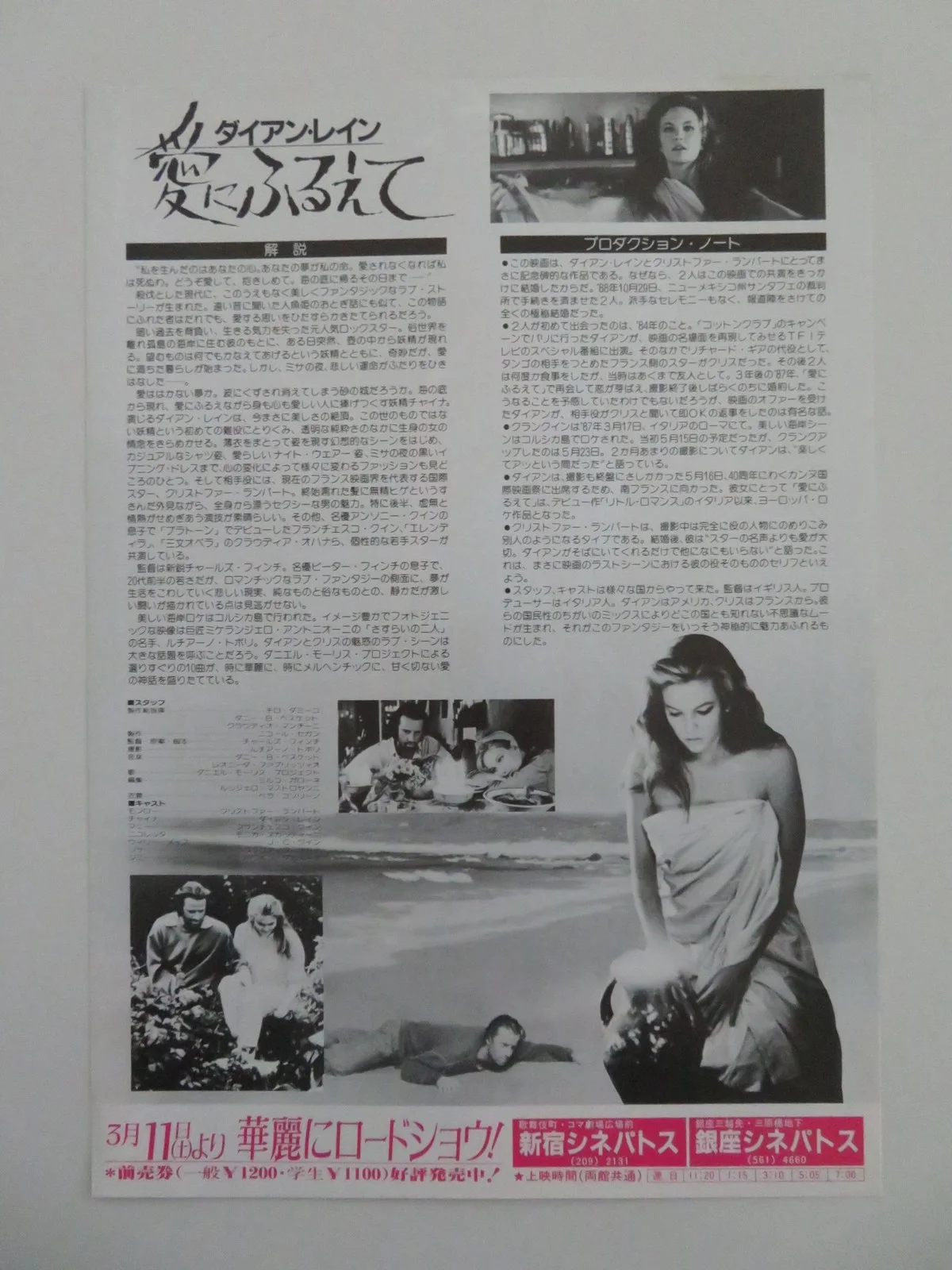 PRICELESS BEAUTY JAPANESE CHIRASHI (B5) POSTER LAMBERT DIANE LANE 1988, image 3